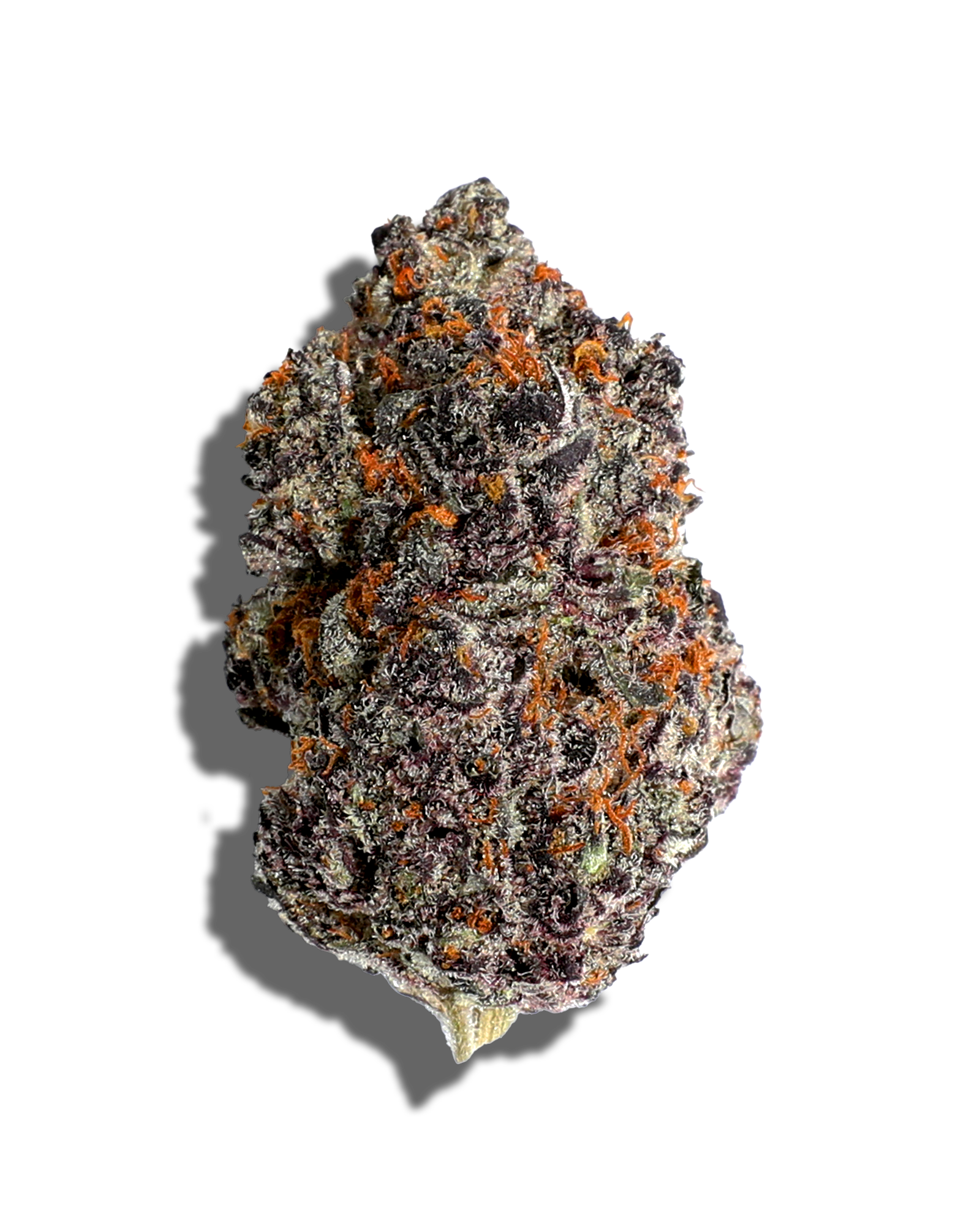 Breakfast Of Champions 1oz, 1 of 3