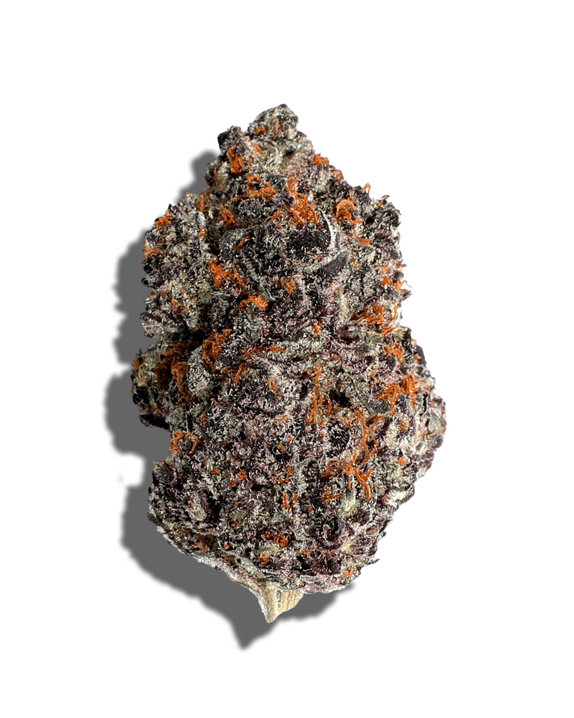 Breakfast Of Champions 1oz