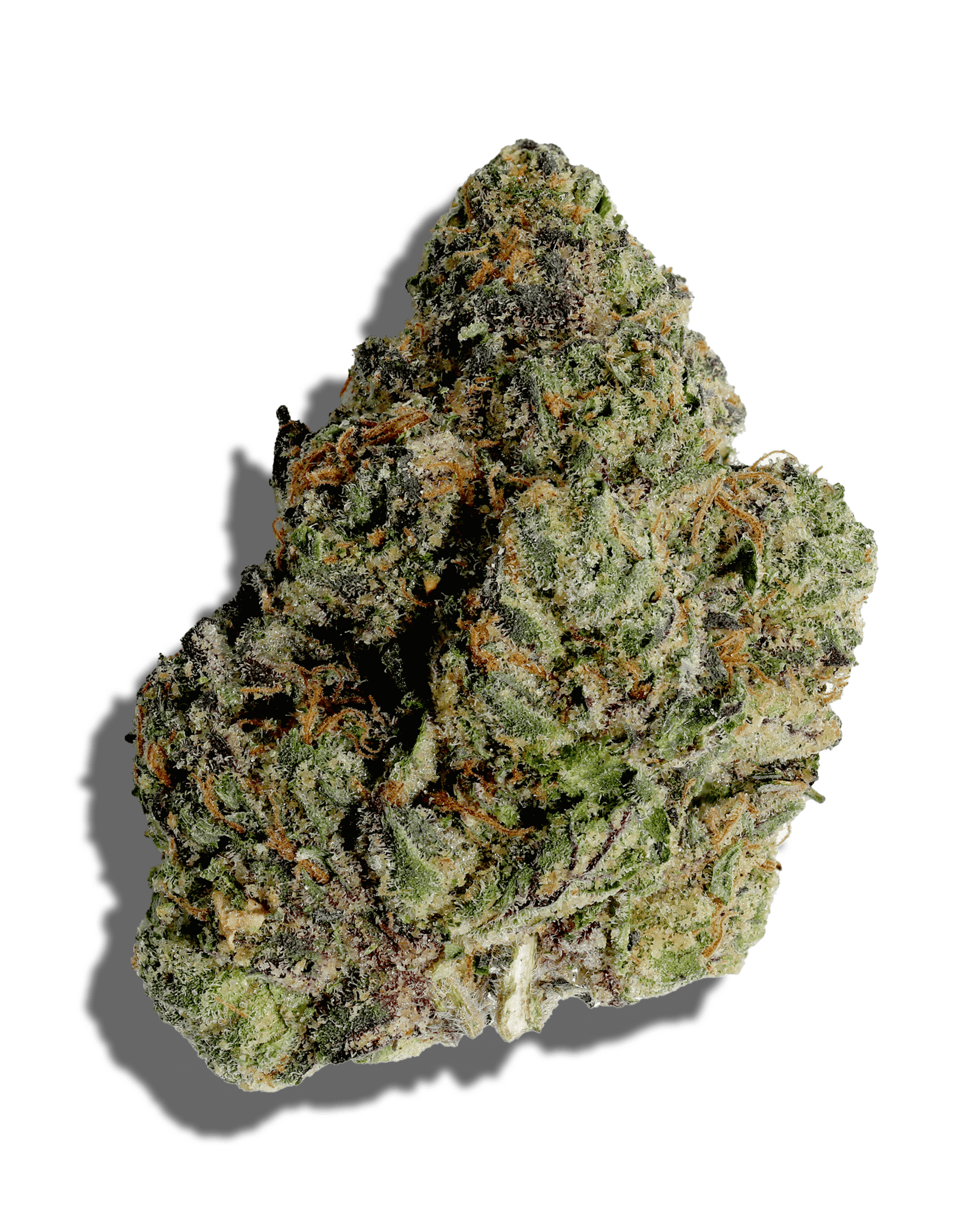 Z Lato 3.5g