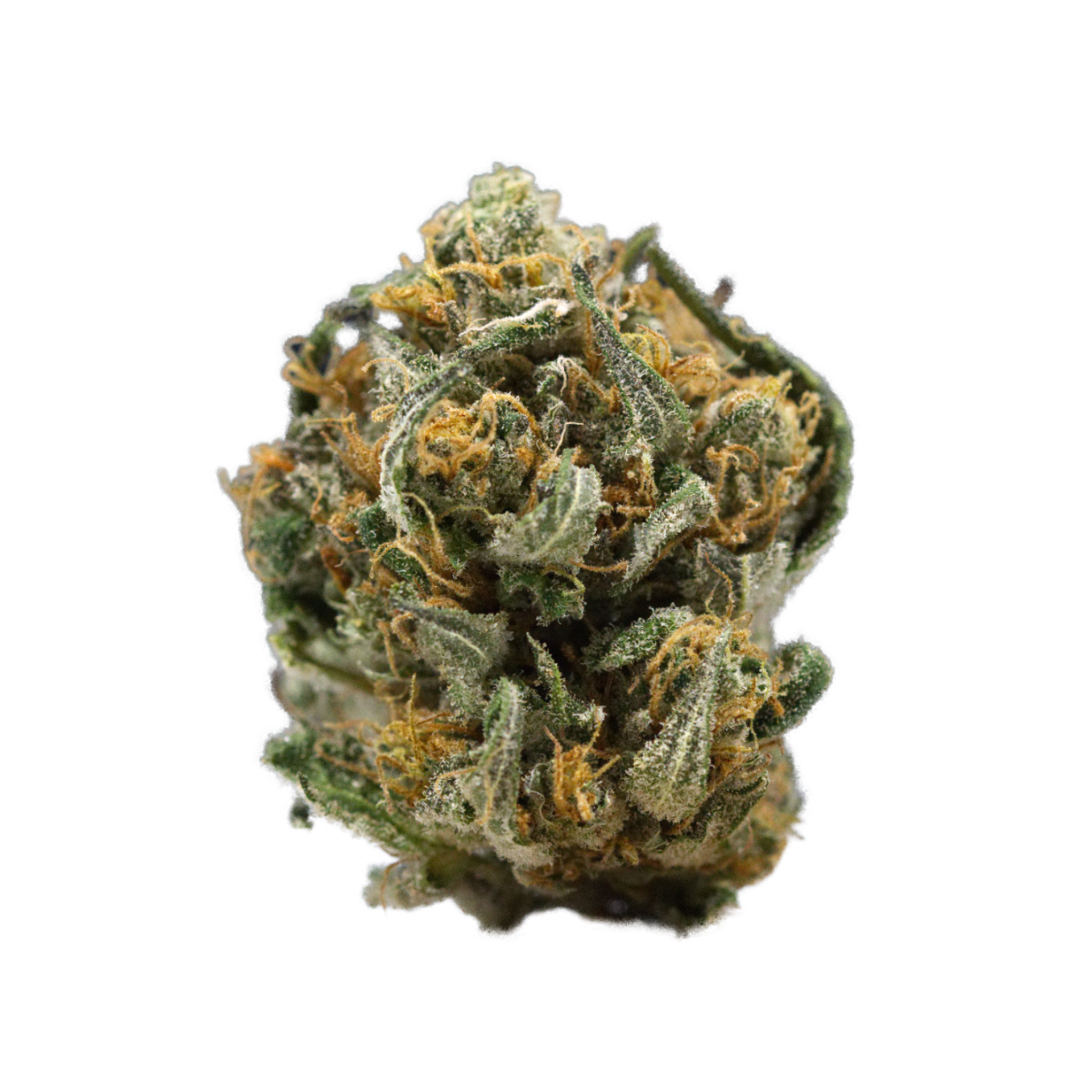 Hawaiian Express #10 Flower