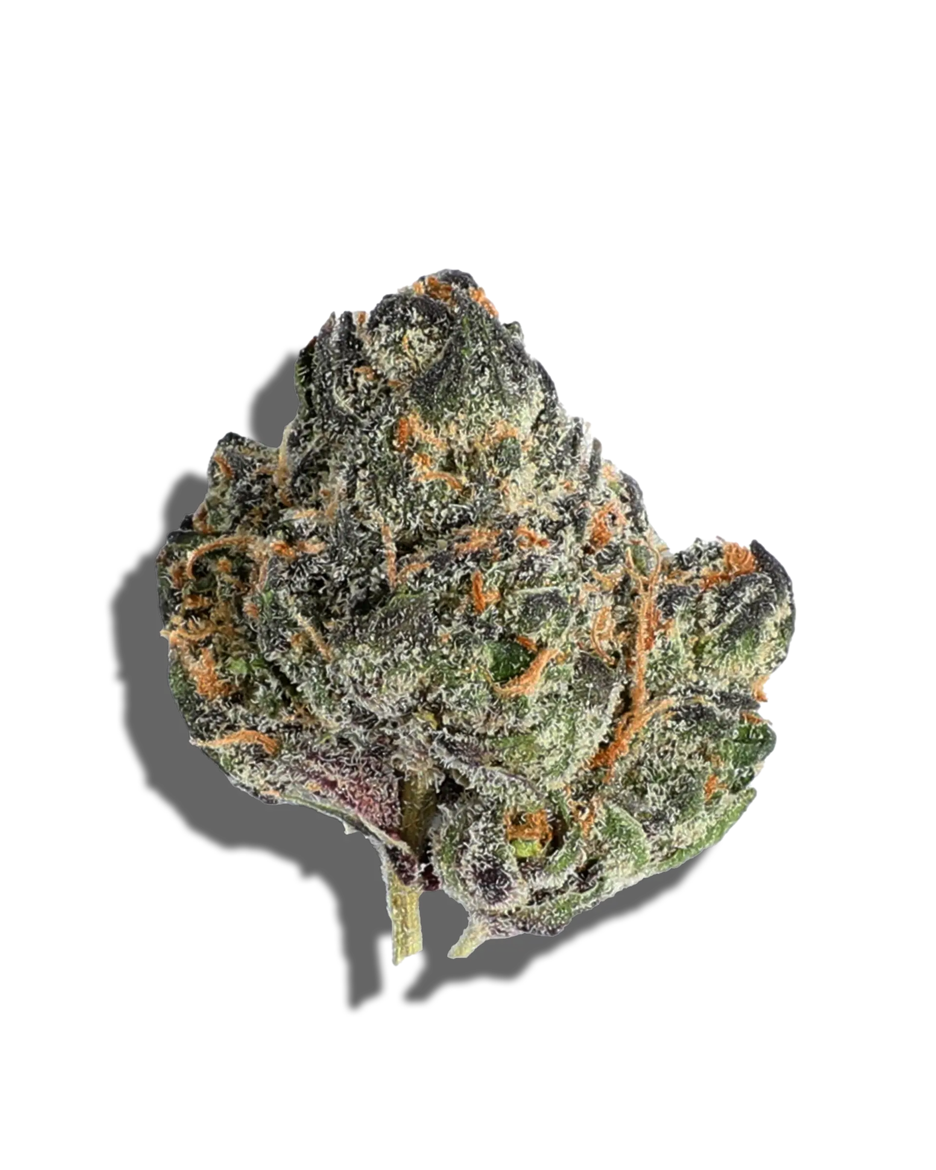 Gelato 33 1oz