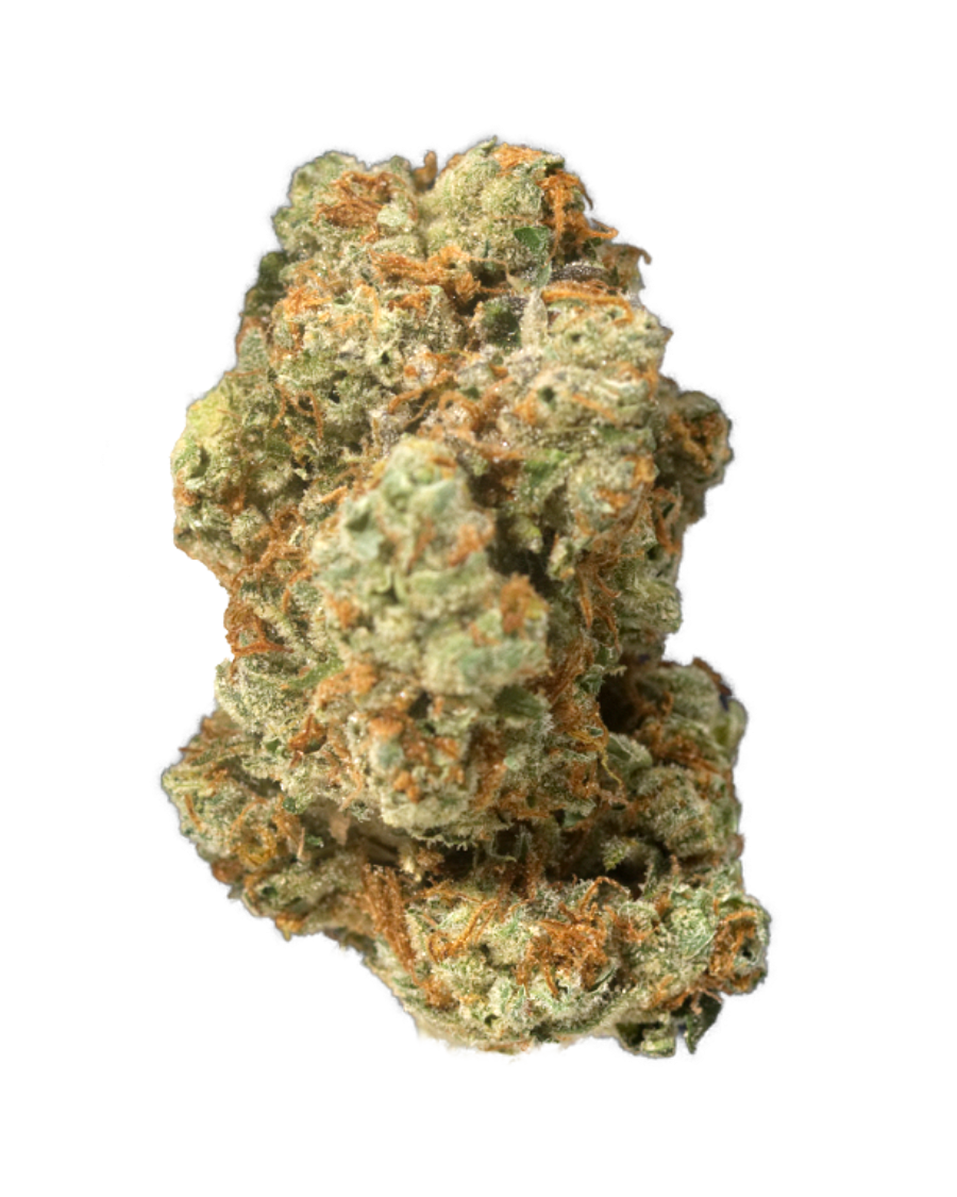GG4 X Death Star Flower