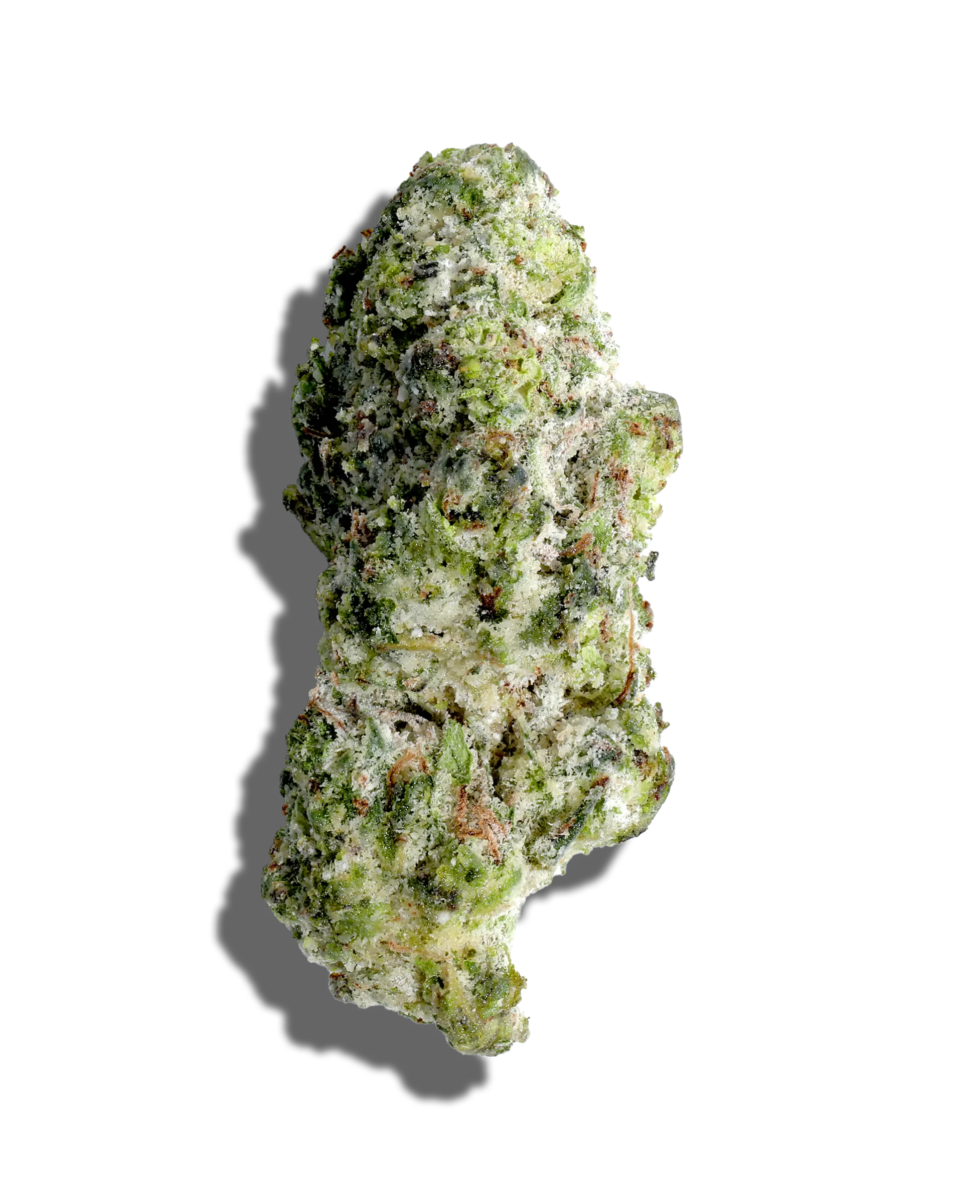 Mint Chocolate Chip X Royal Highness Amp'd Live Resin Infused Flower 5g