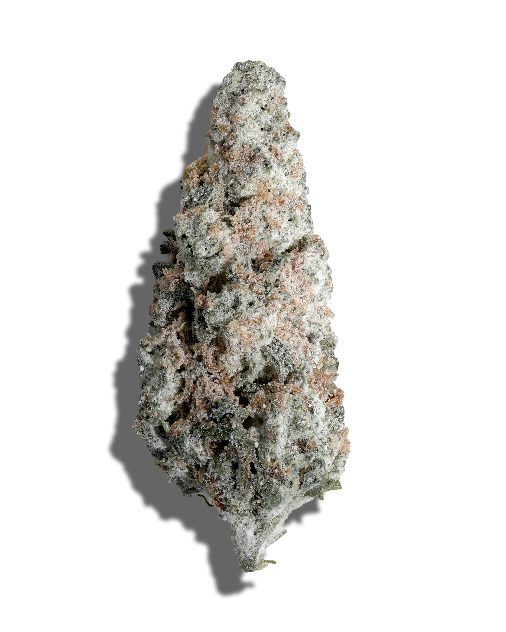 Jenny Kush X Jet Fuel Amp'd Live Resin Infused Flower 5g