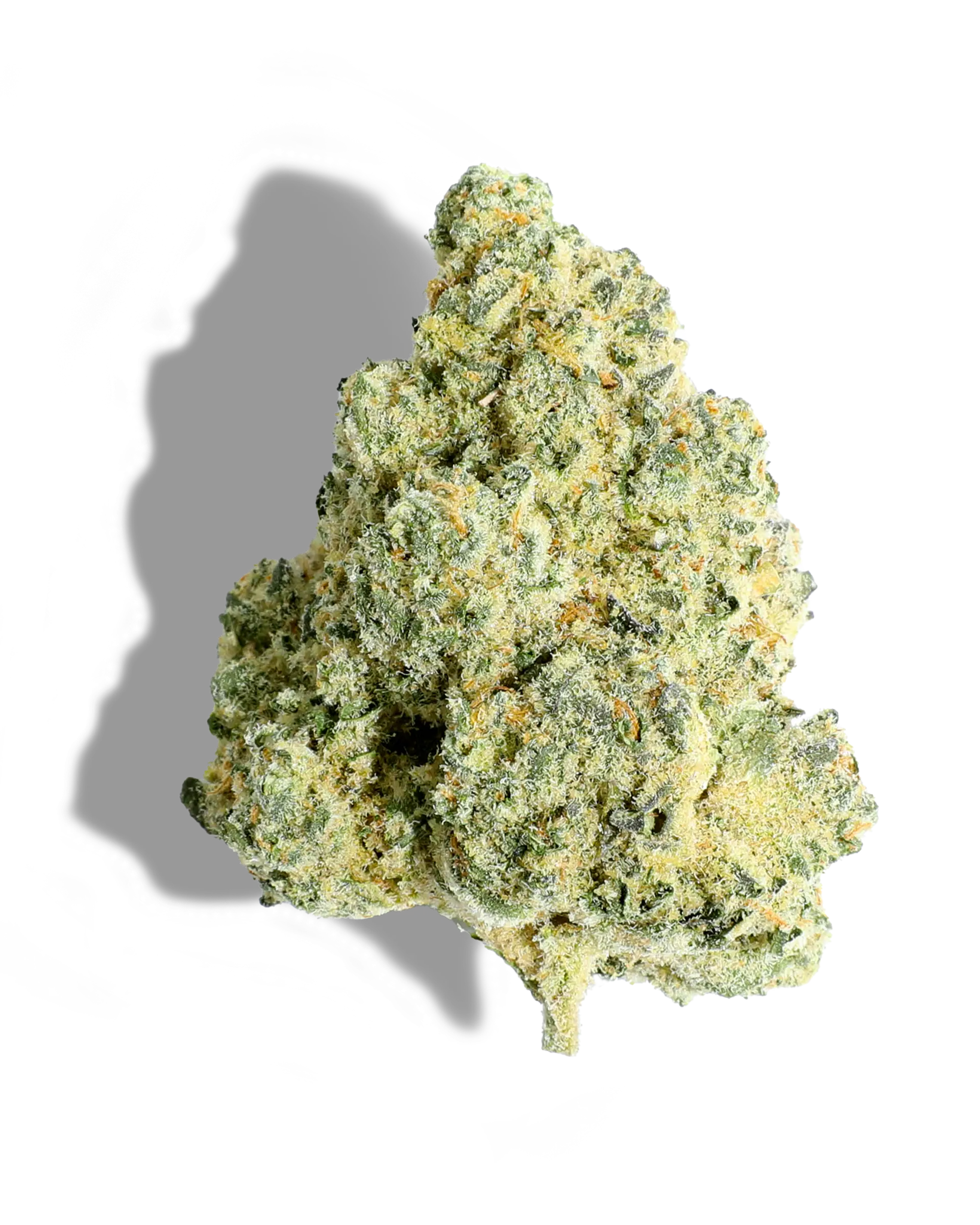 LA Baker Flower