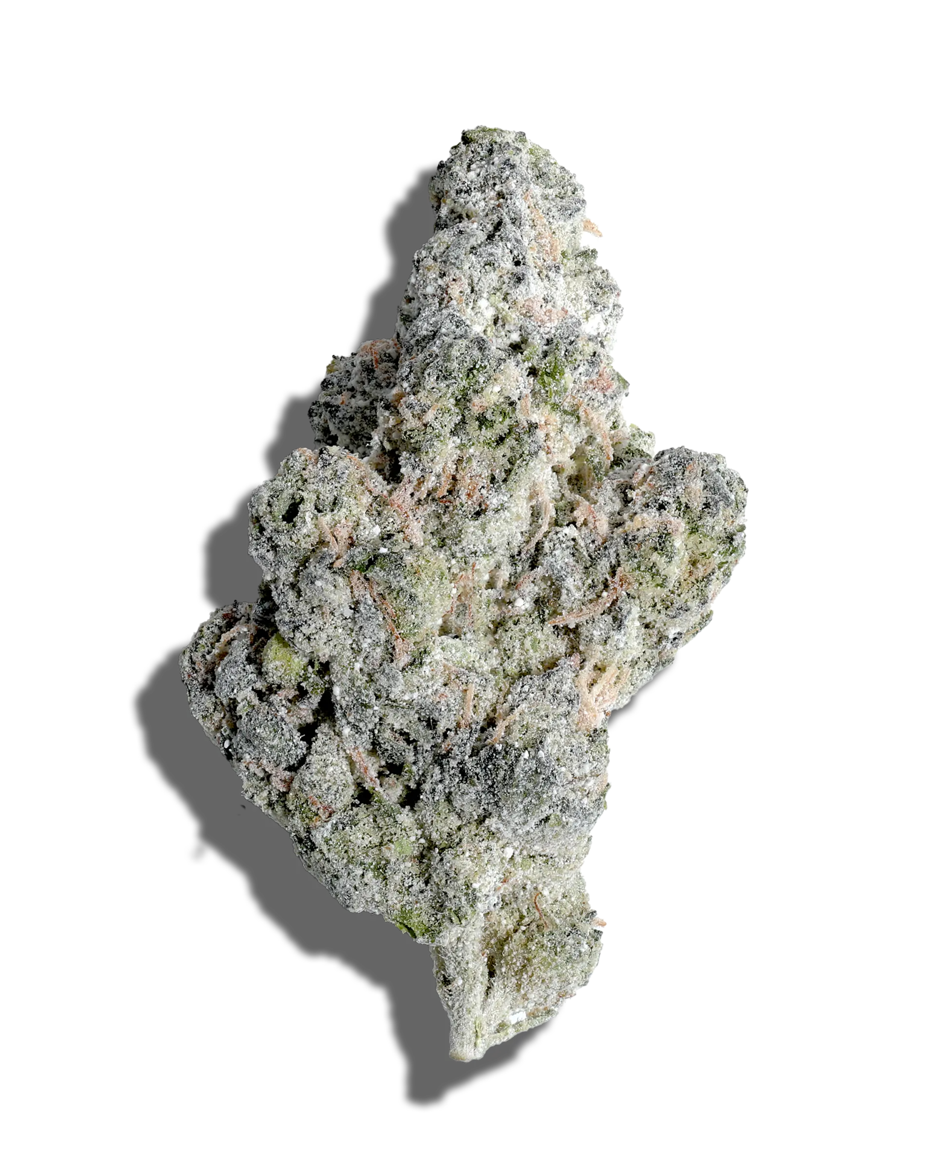 Dosidos X Jack Herer Amp'd Live Resin Infused Flower 5g