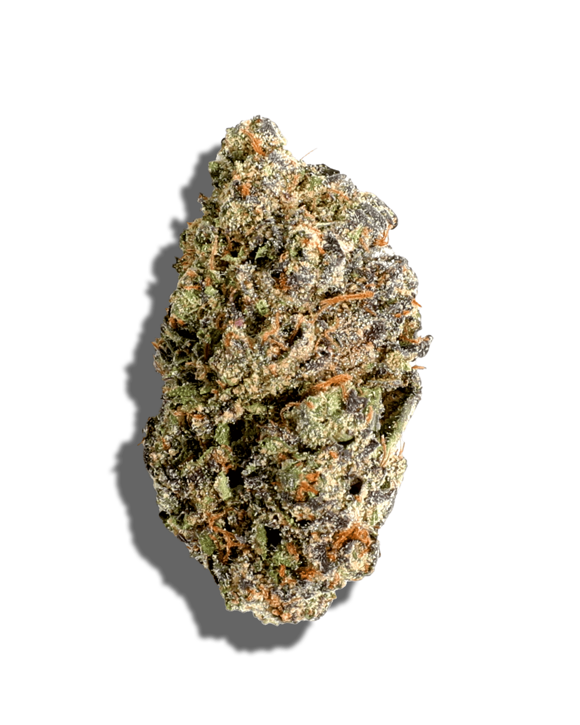 Sherb Cream Pie 3.5g