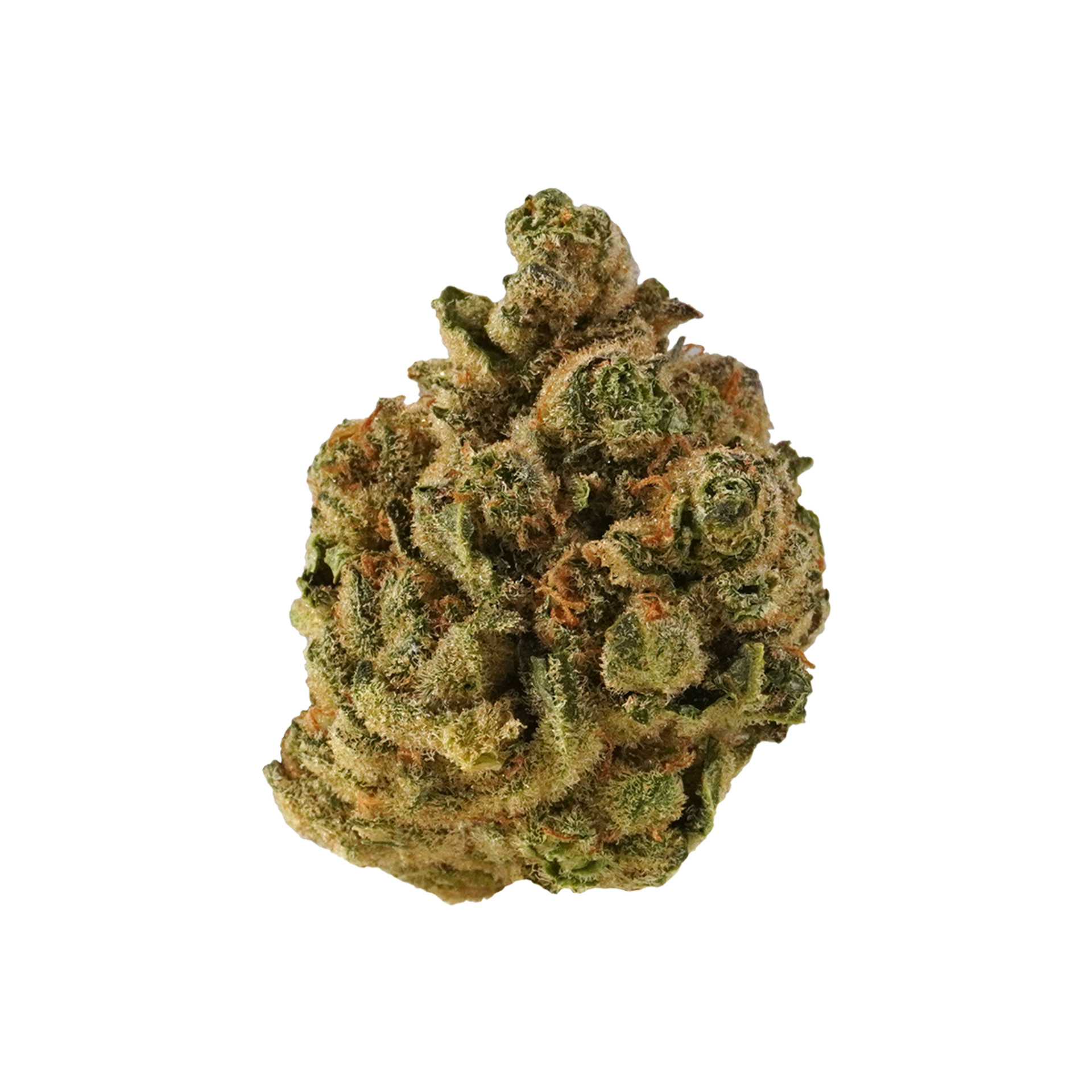 Zweet Inzanity Flower