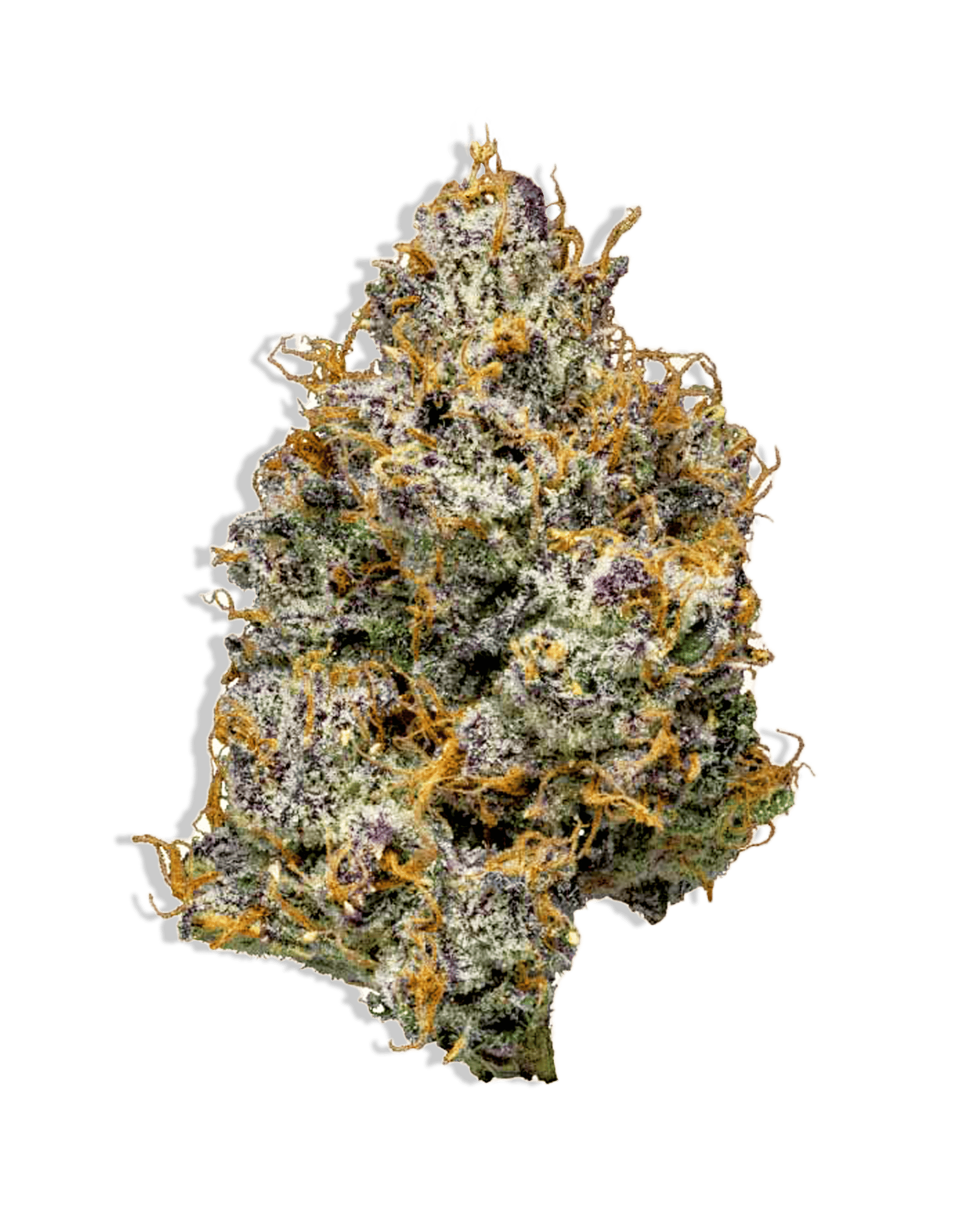 Lemon Cherry Beltz 3.5g