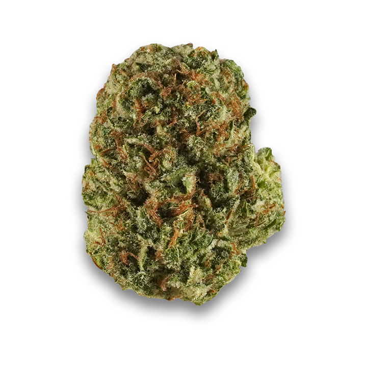 Orange rollz cannabis strain