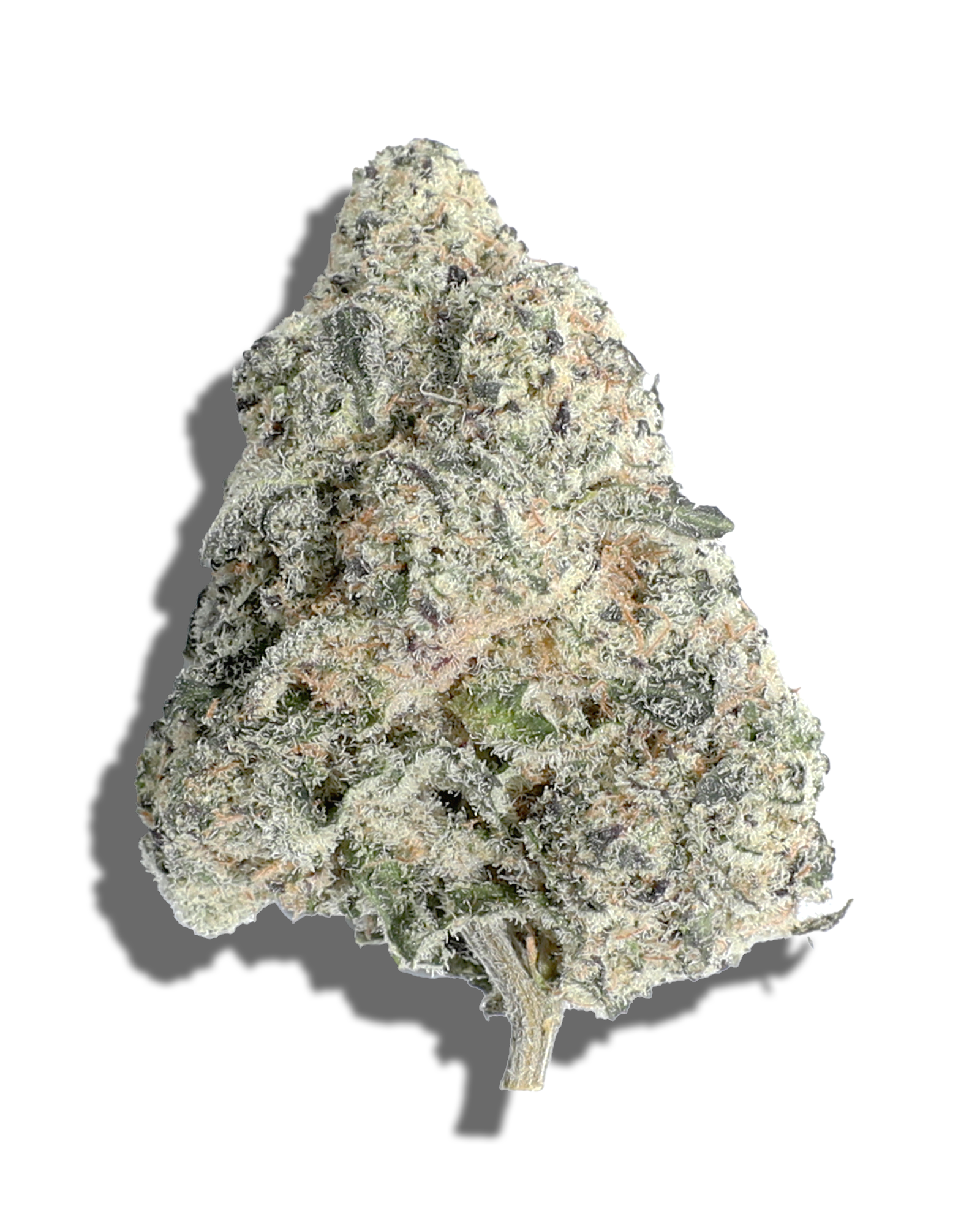 Berry Bonds 3.5g, 1 of 3