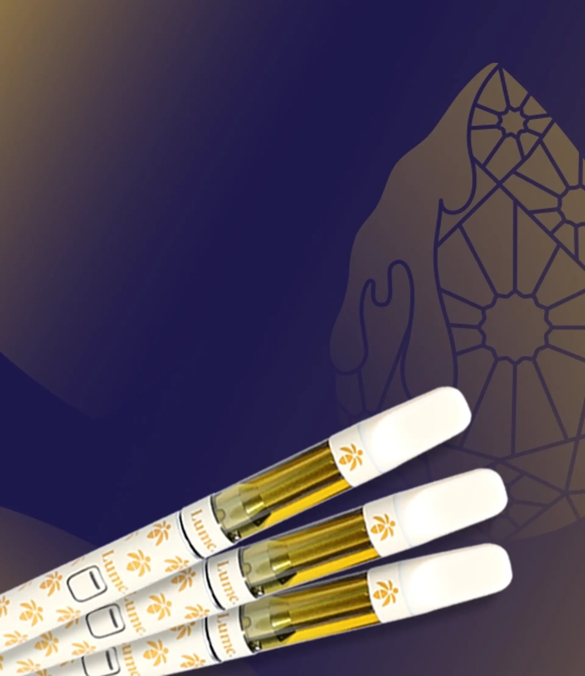 Liquid Diamonds
Lower Price & New Bundles