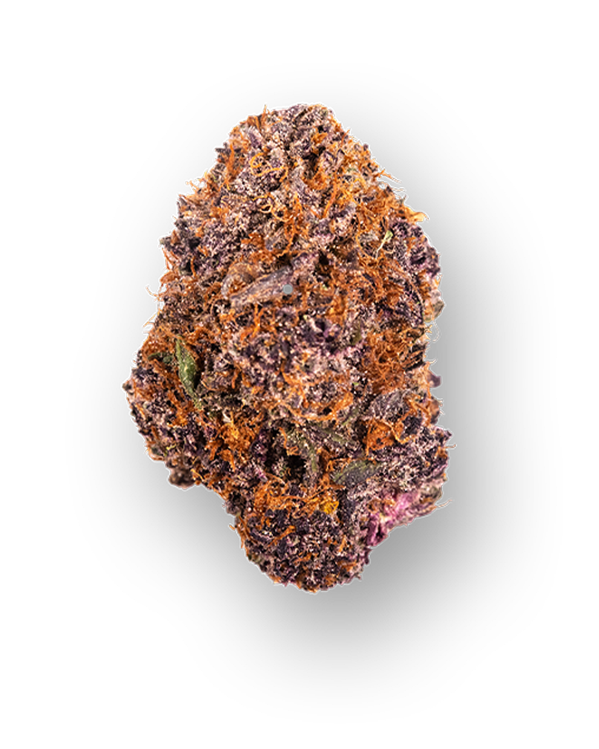 Black Cherry Pie Flower