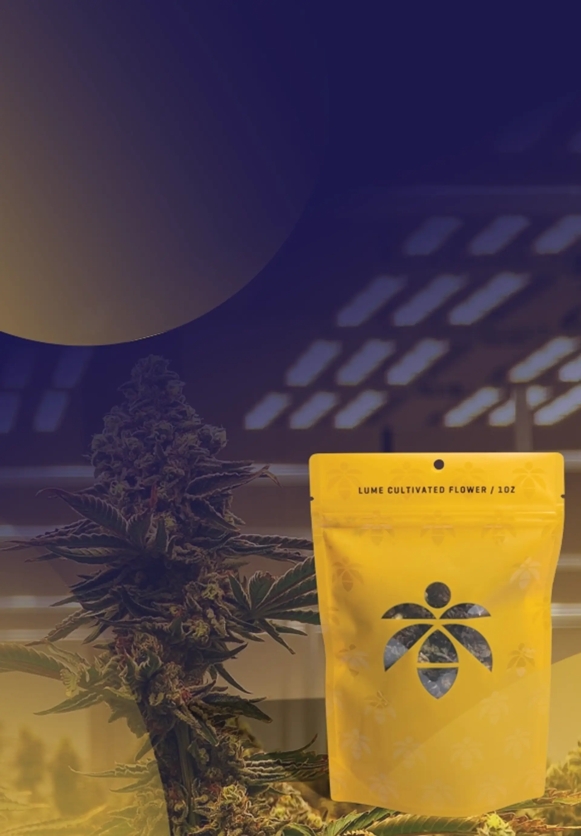 $130 Top Tier Oz Bag