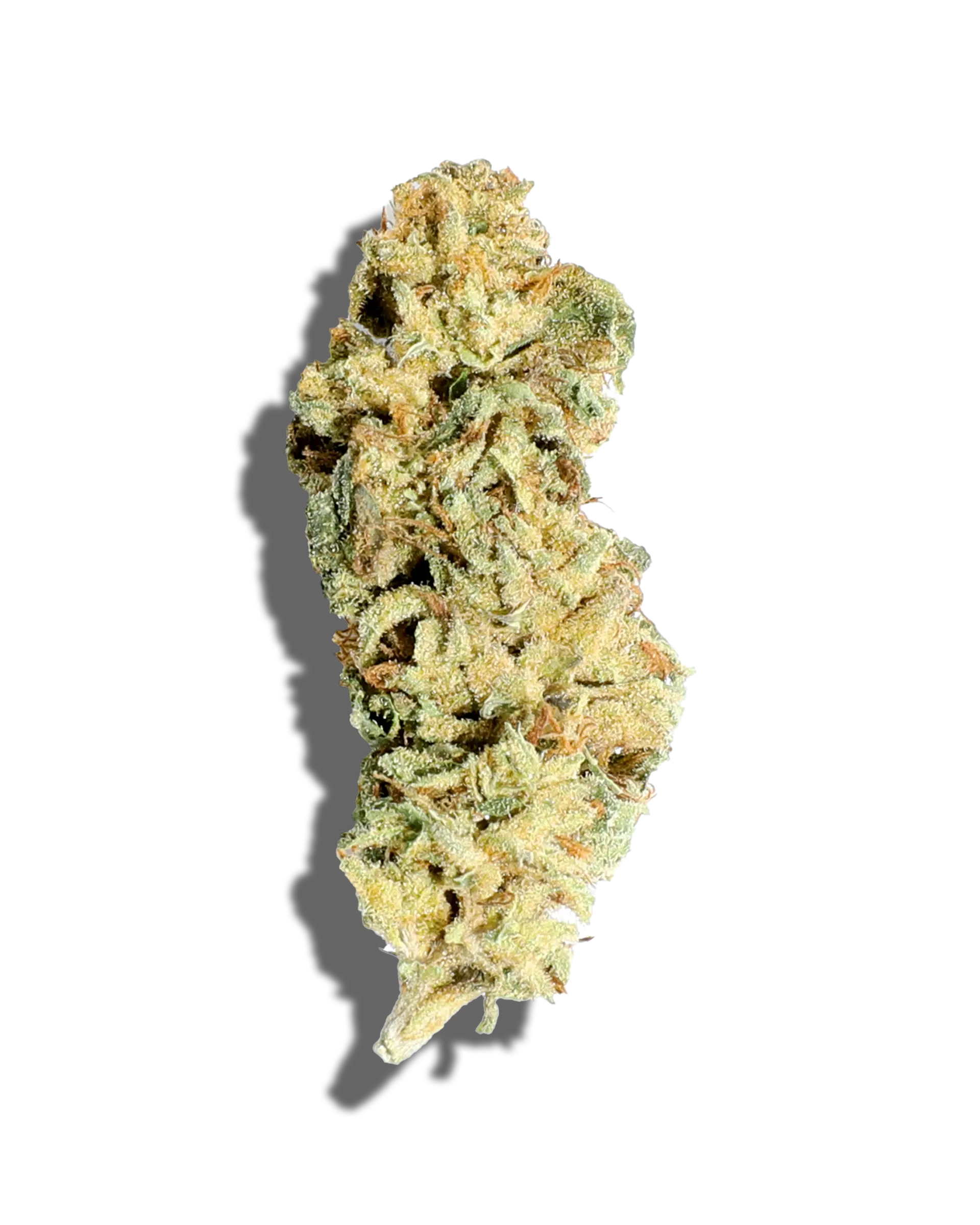Sungrown Frozen Tangie 3.5g