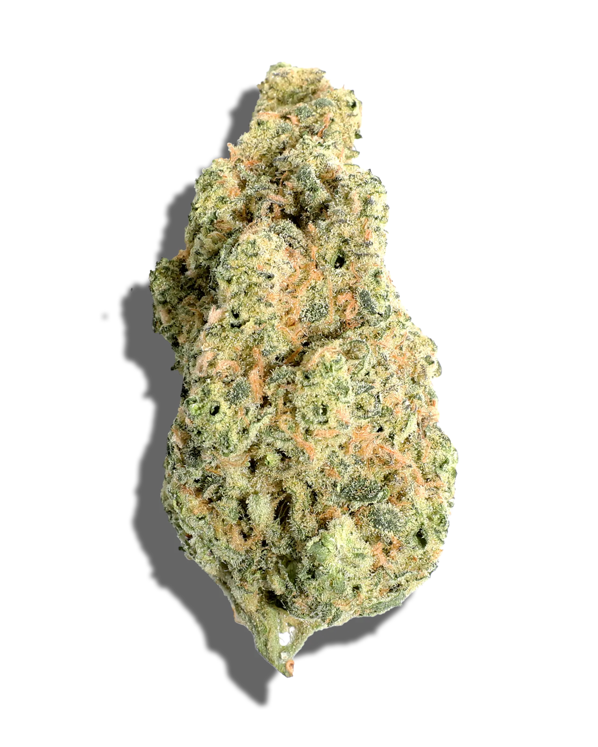 Commando 1oz