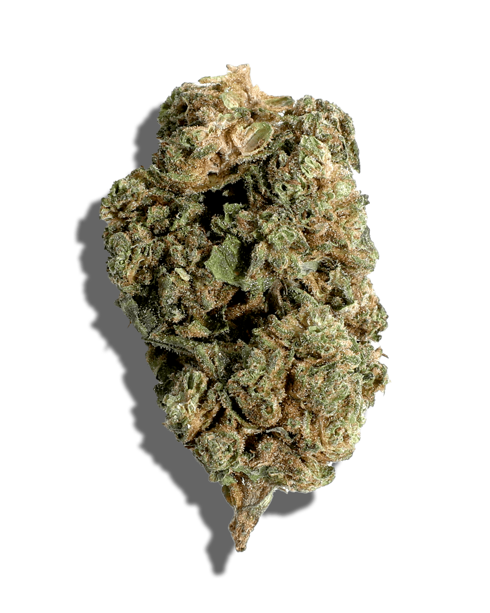 Sungrown Pink Certz 1oz