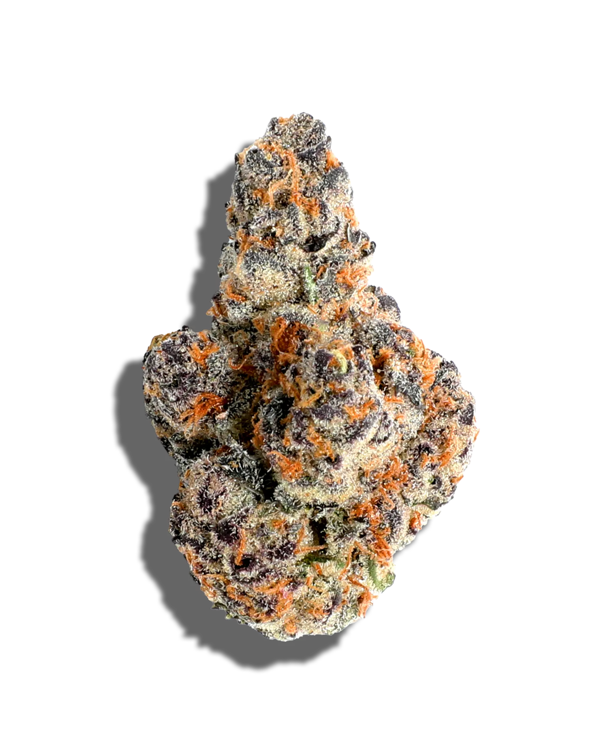 Cream Smoothie 3.5g