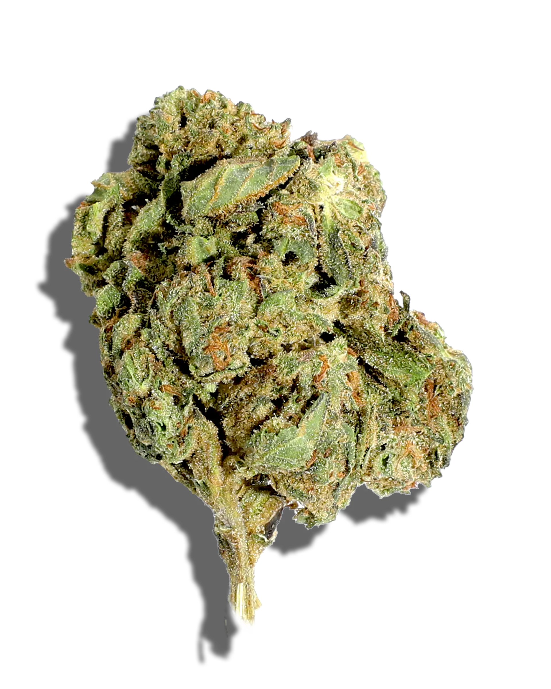 Sungrown Purple Donut 1oz