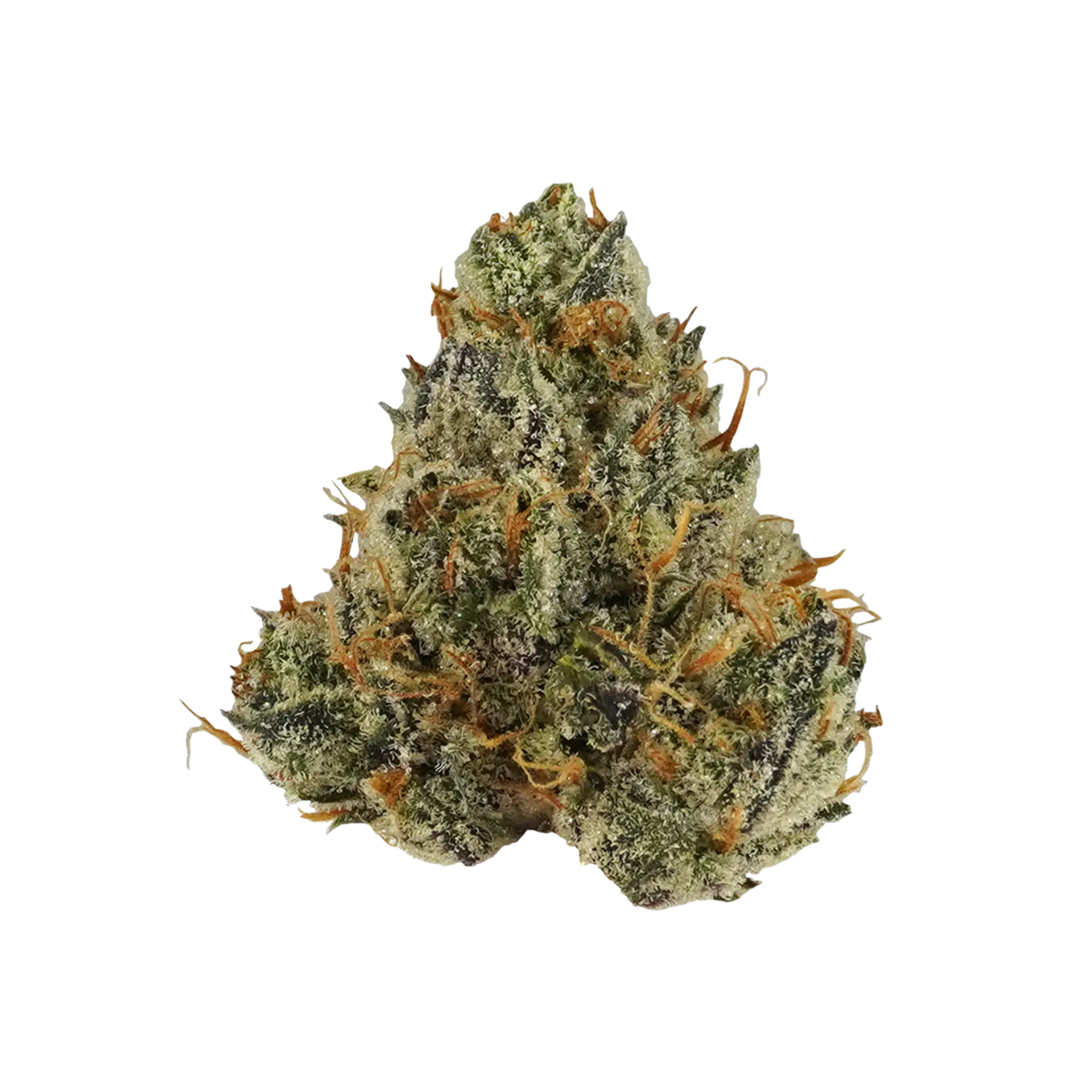 Gmo'z 3.5g