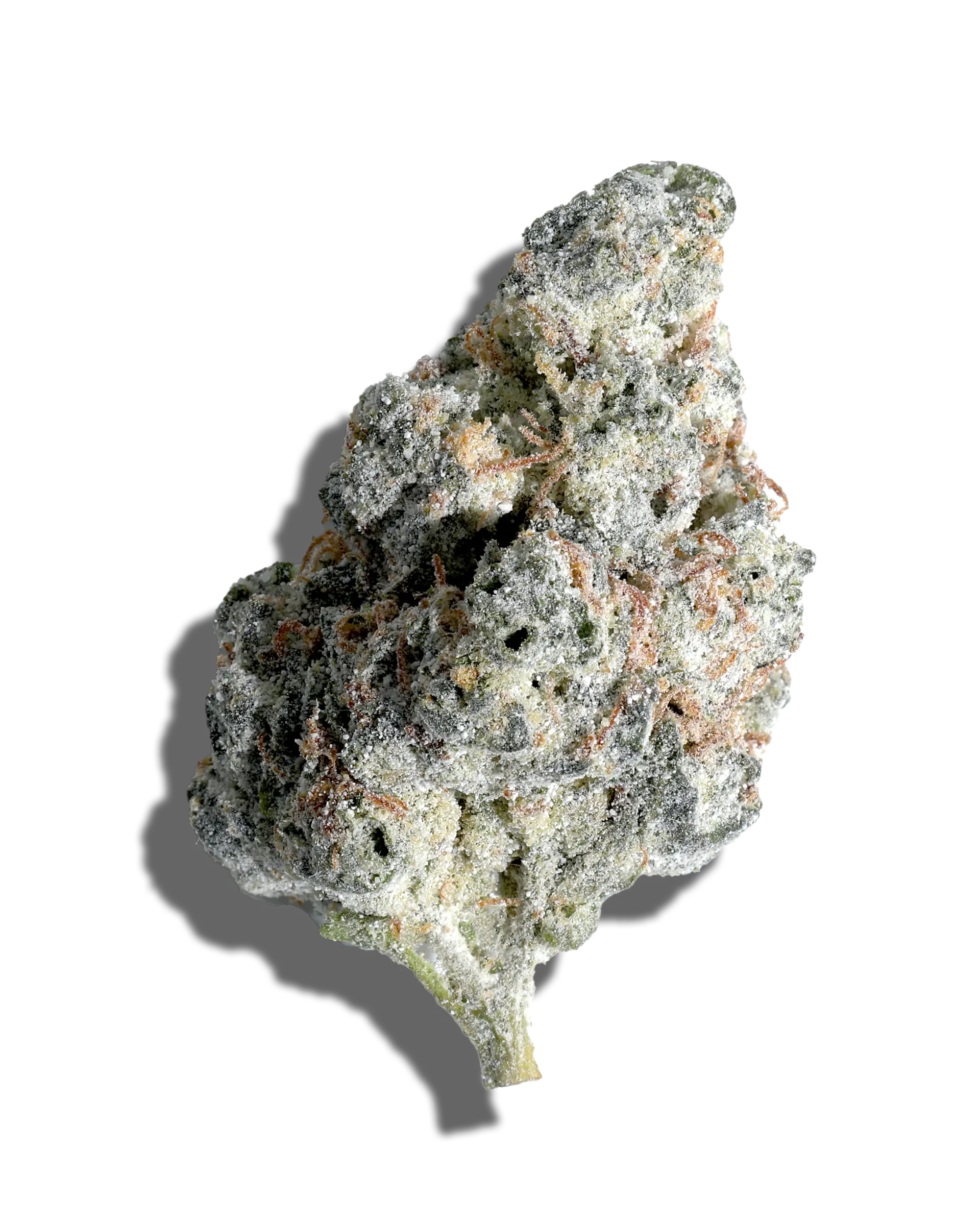 Blueberry Crumble X Peyote Critical Amp'd Live Resin Infused Flower 5g