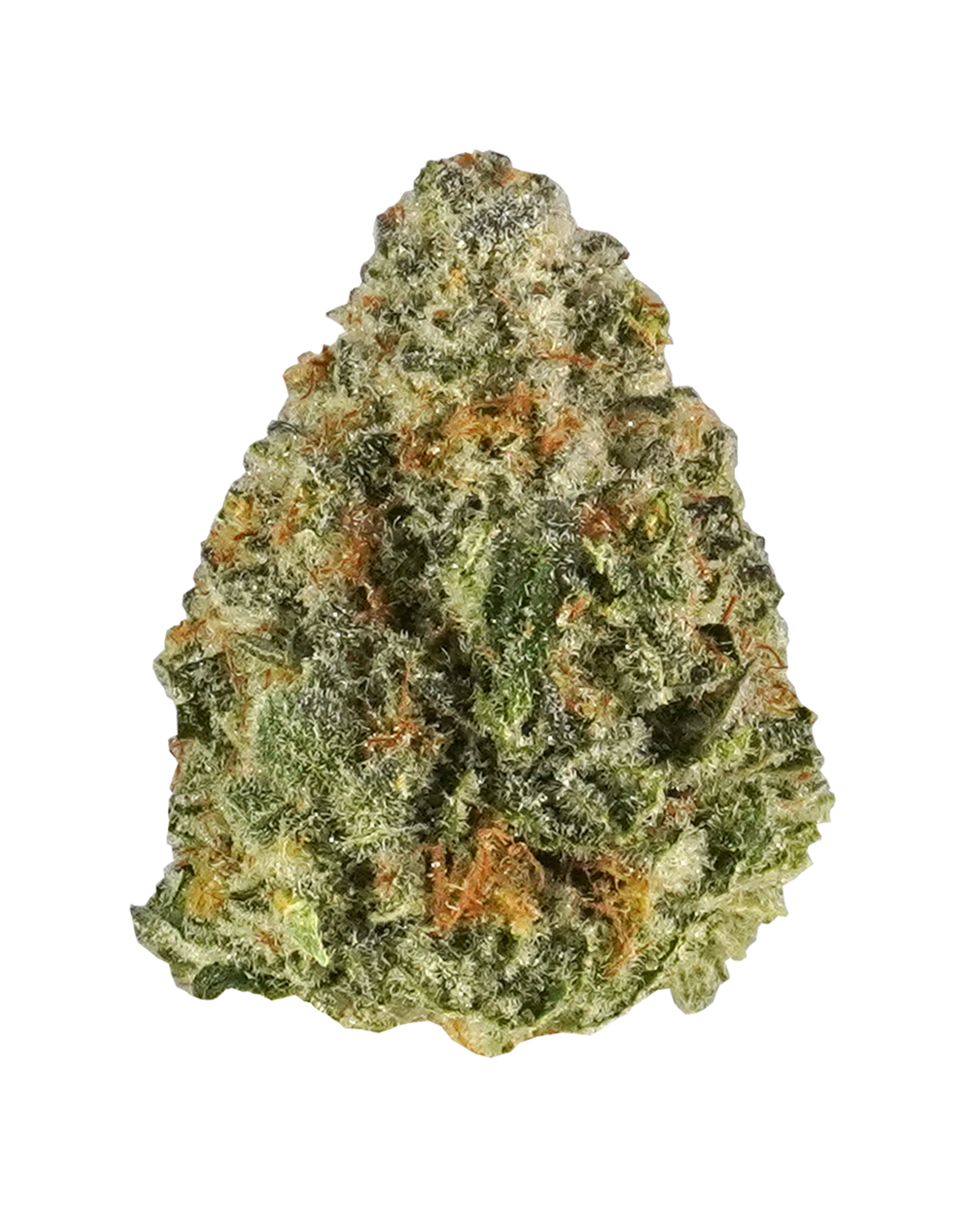 Tropicana Trap Flower