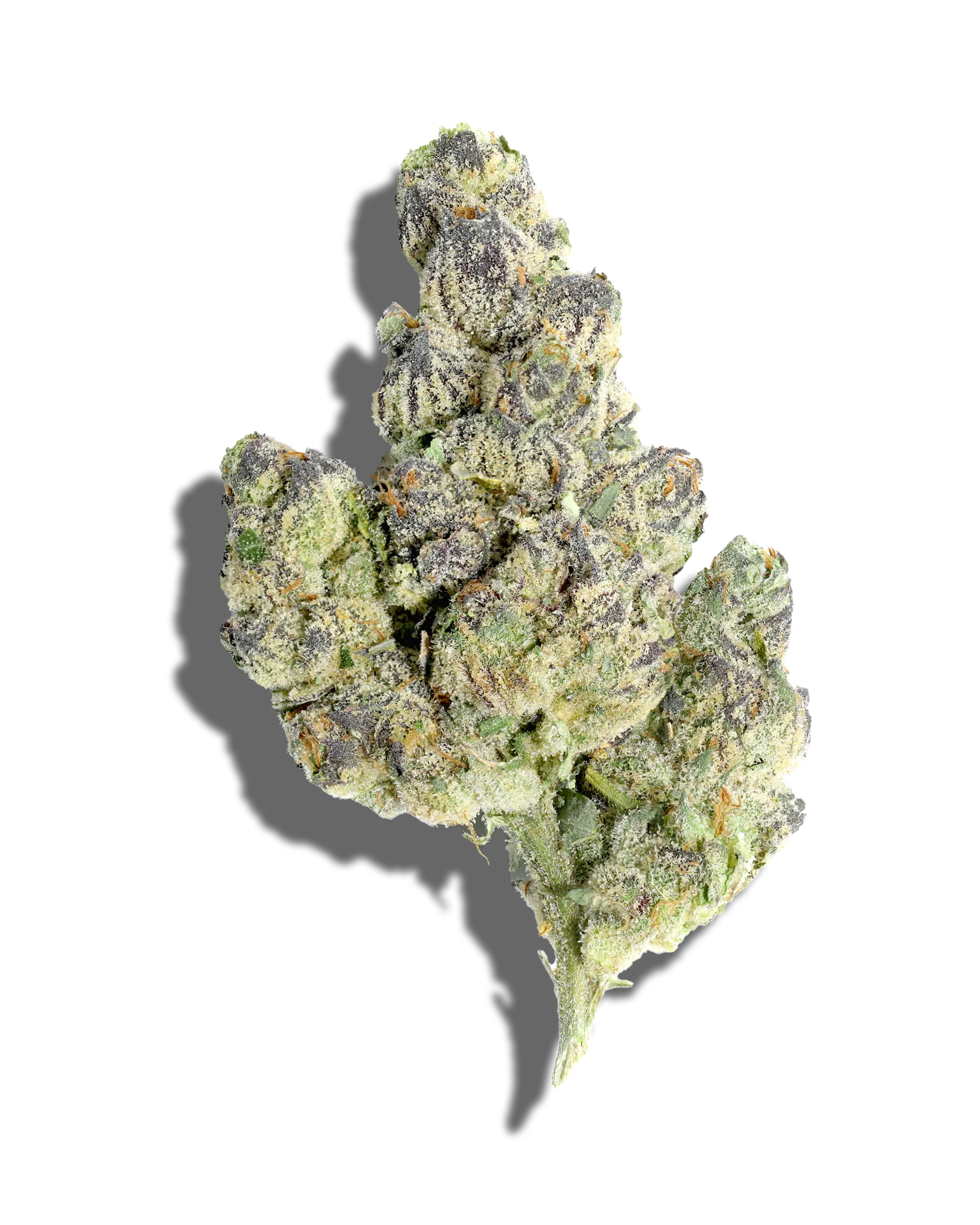 Sherb Cocktail 3.5g