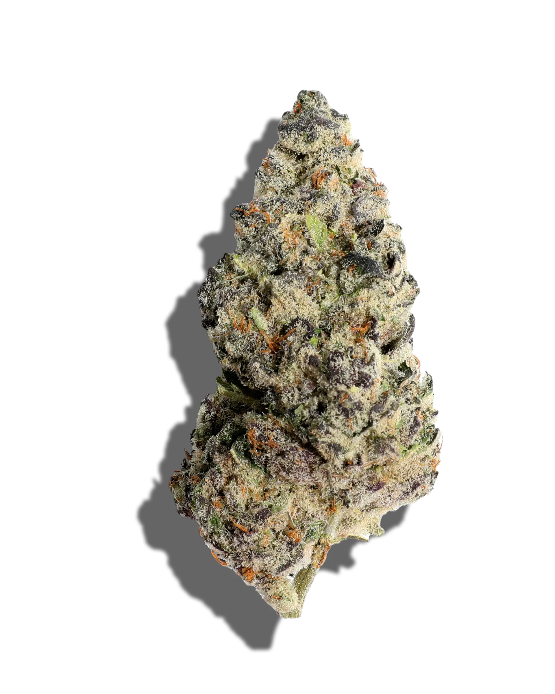 Vice City Flower