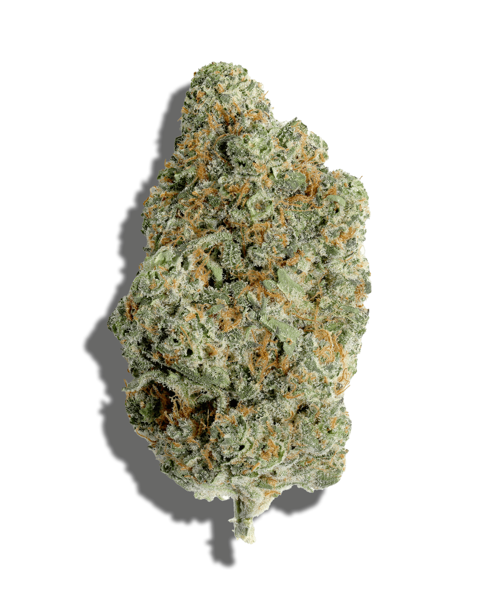 Apricot Chem 1oz