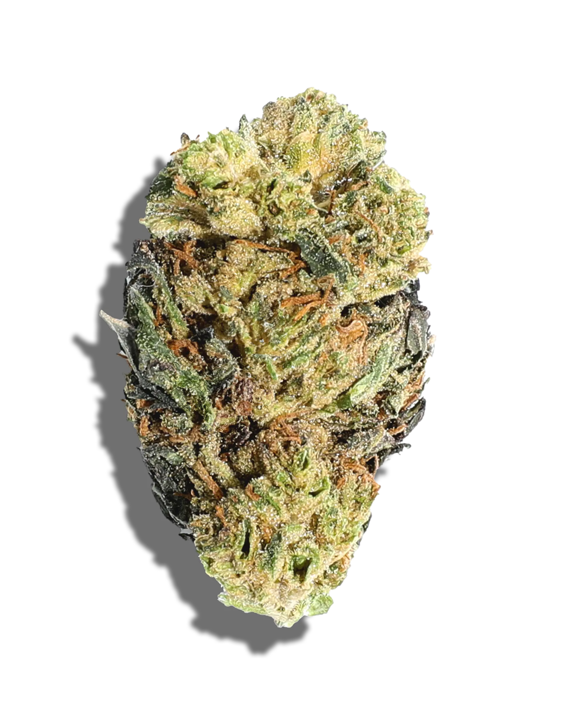 Sunkissed GMO Cookies 3.5g