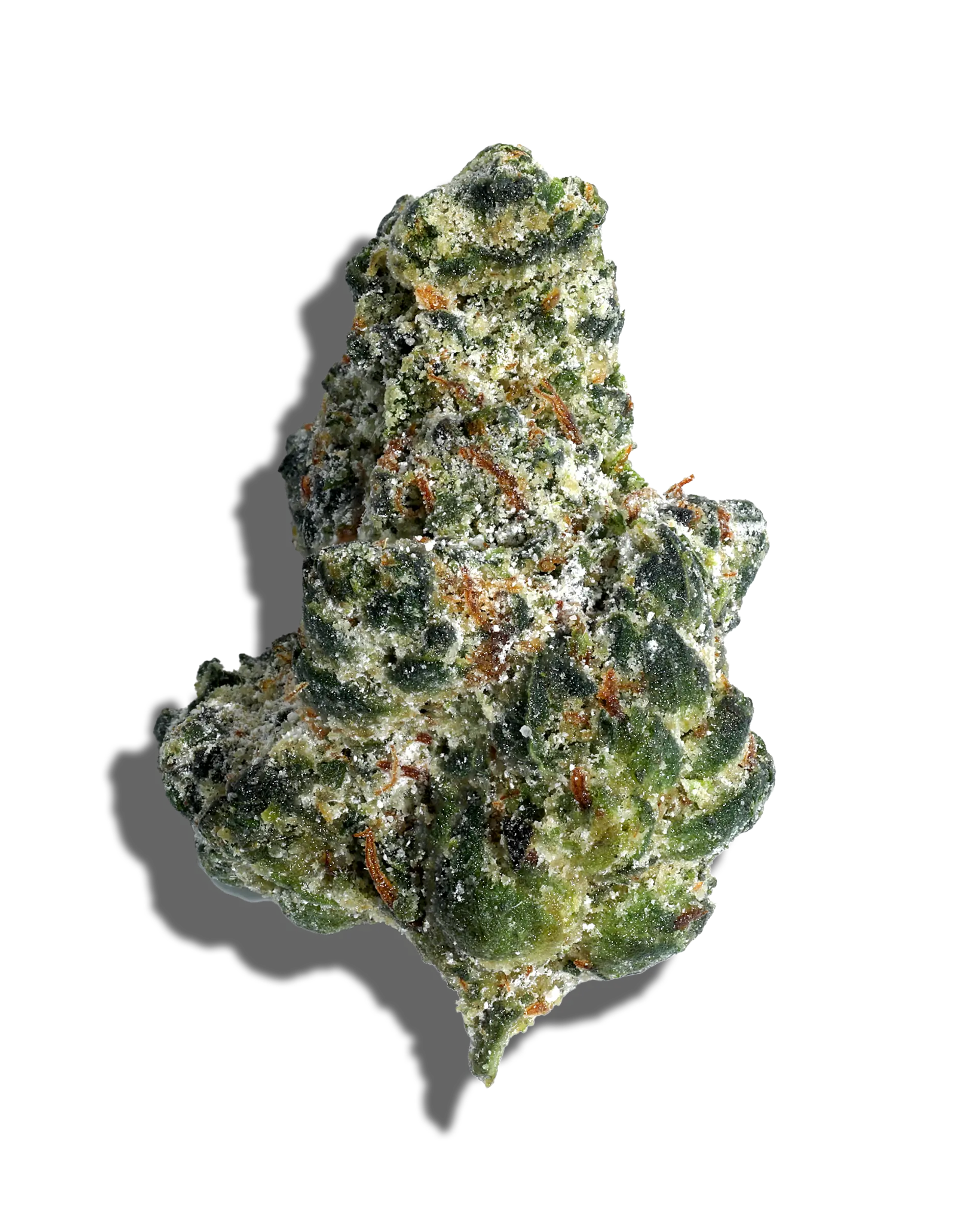 GMO Cookies X Bootleg Bananas Amp'd Live Resin Infused Flower 5g