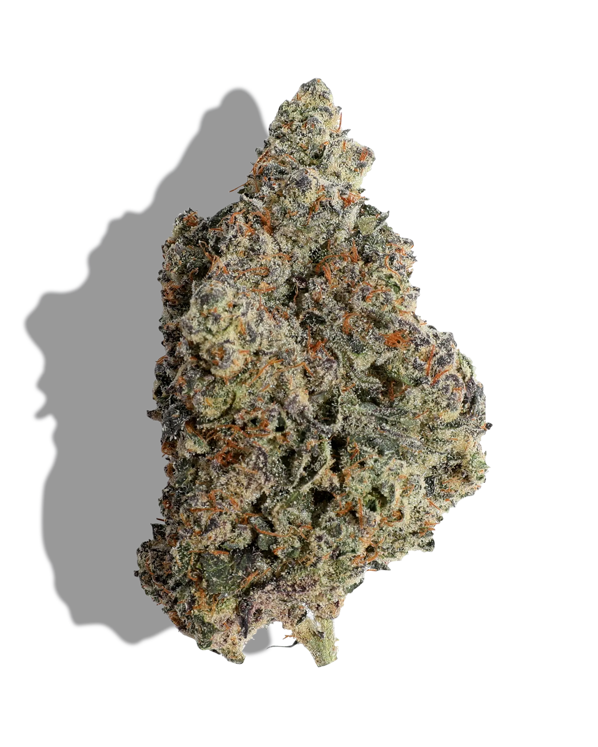 Compound Z 3.5g