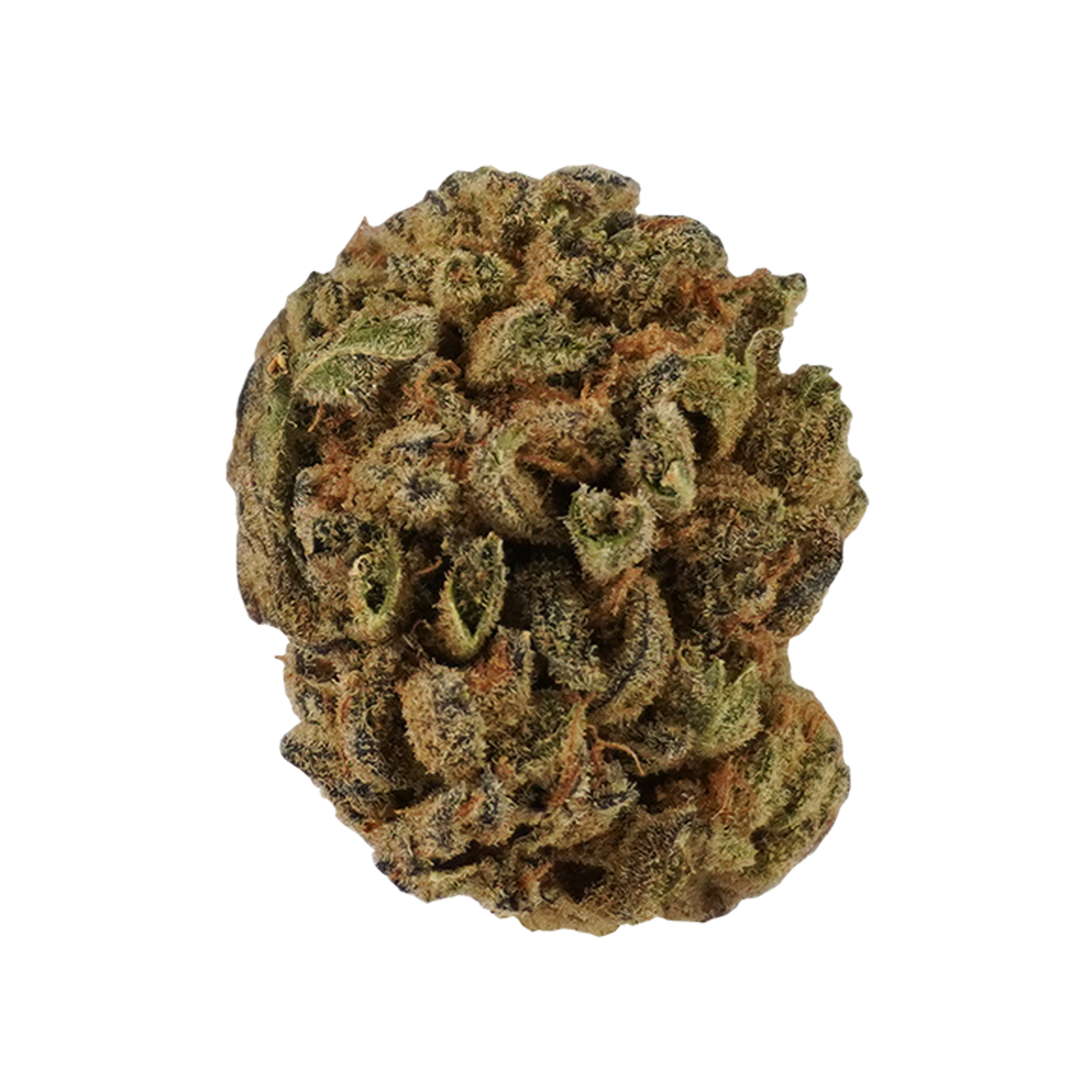 Super Krishna Flower