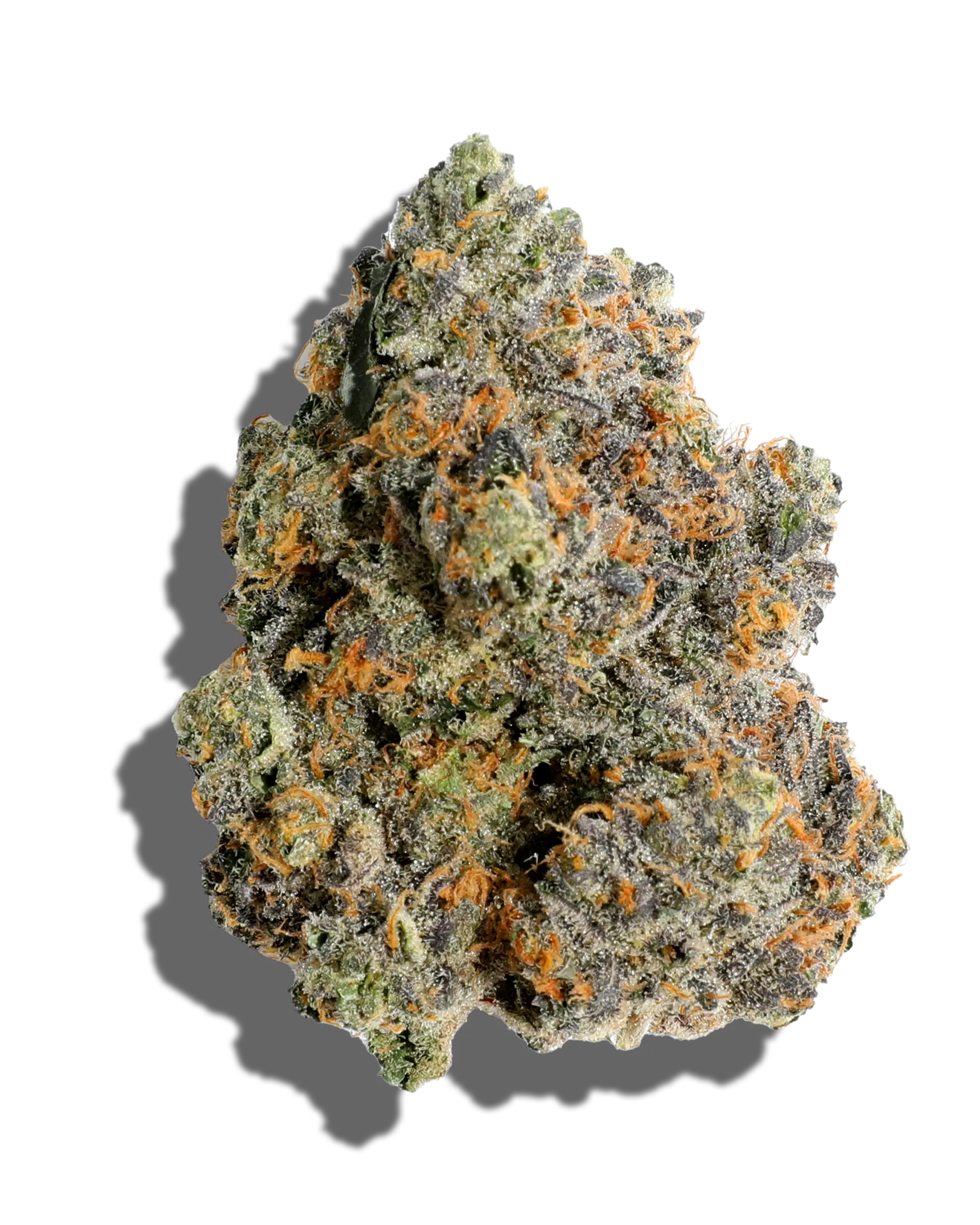 RS11 Flower