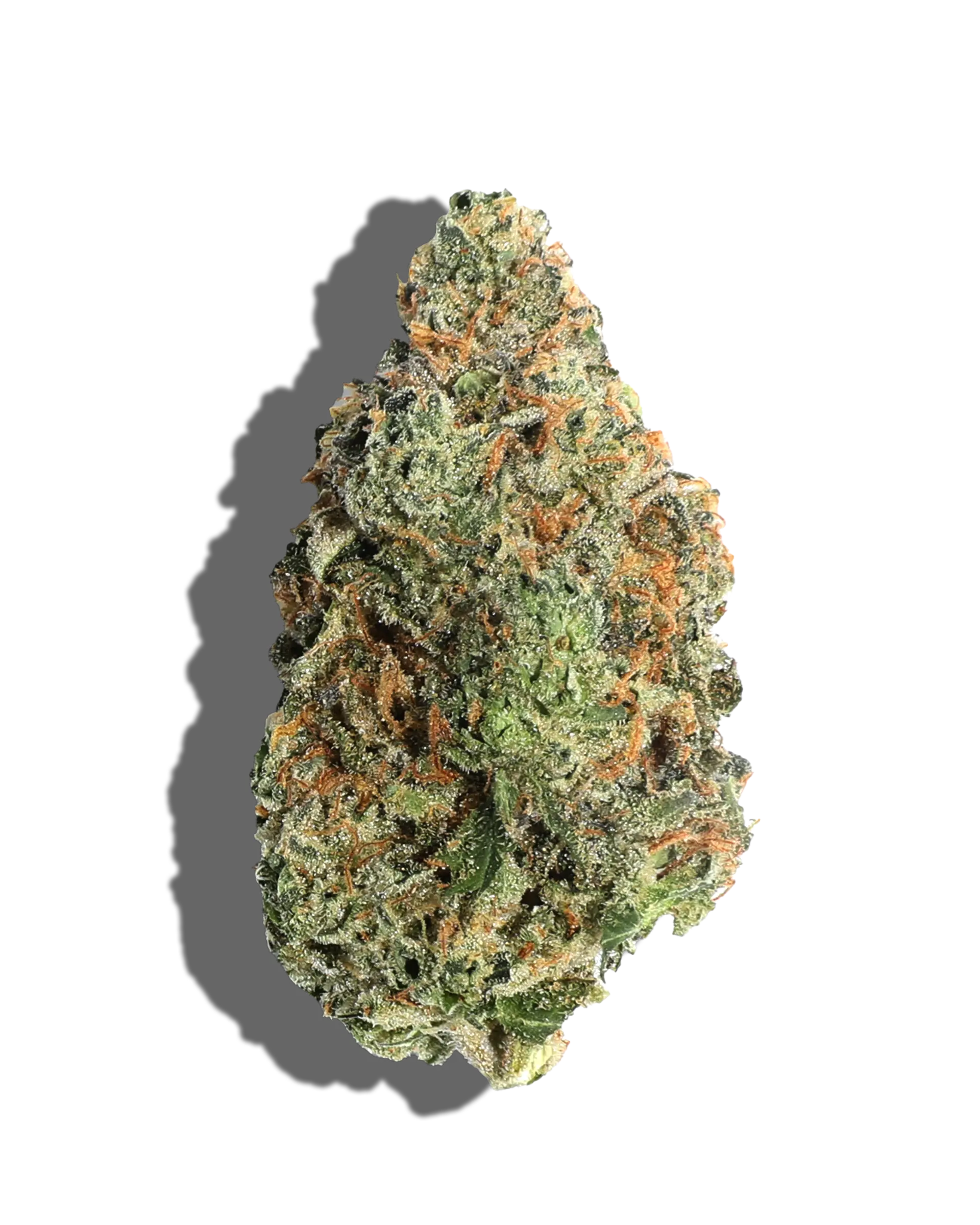 Msg 1oz