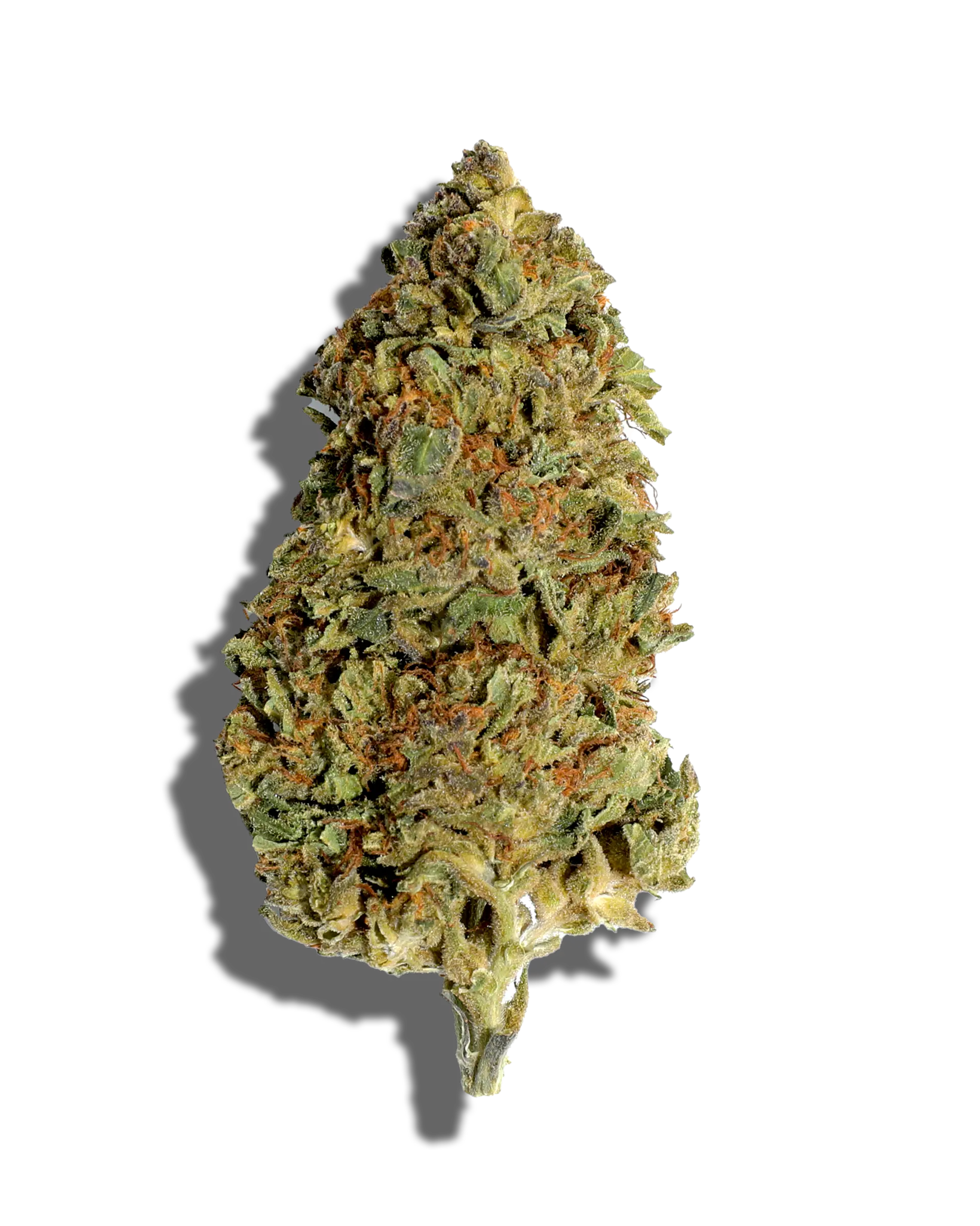 Sungrown Apple Smacks 1oz