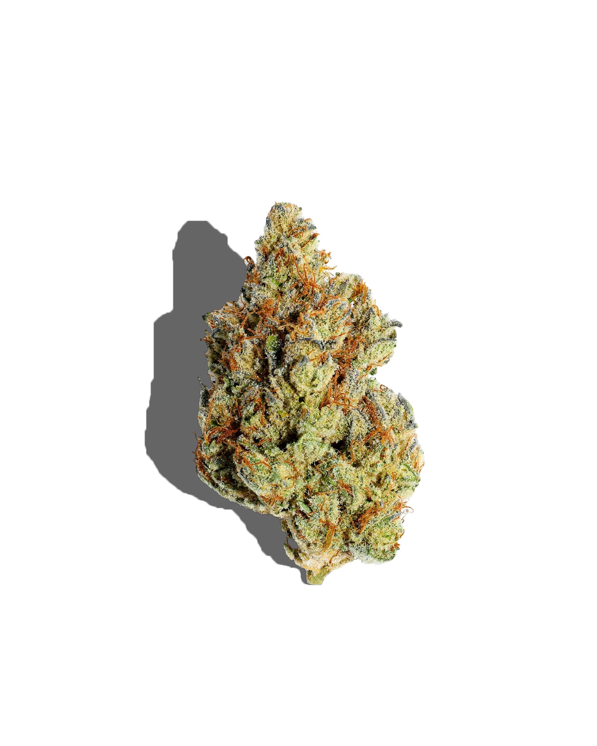 J-Lo Kush Flower