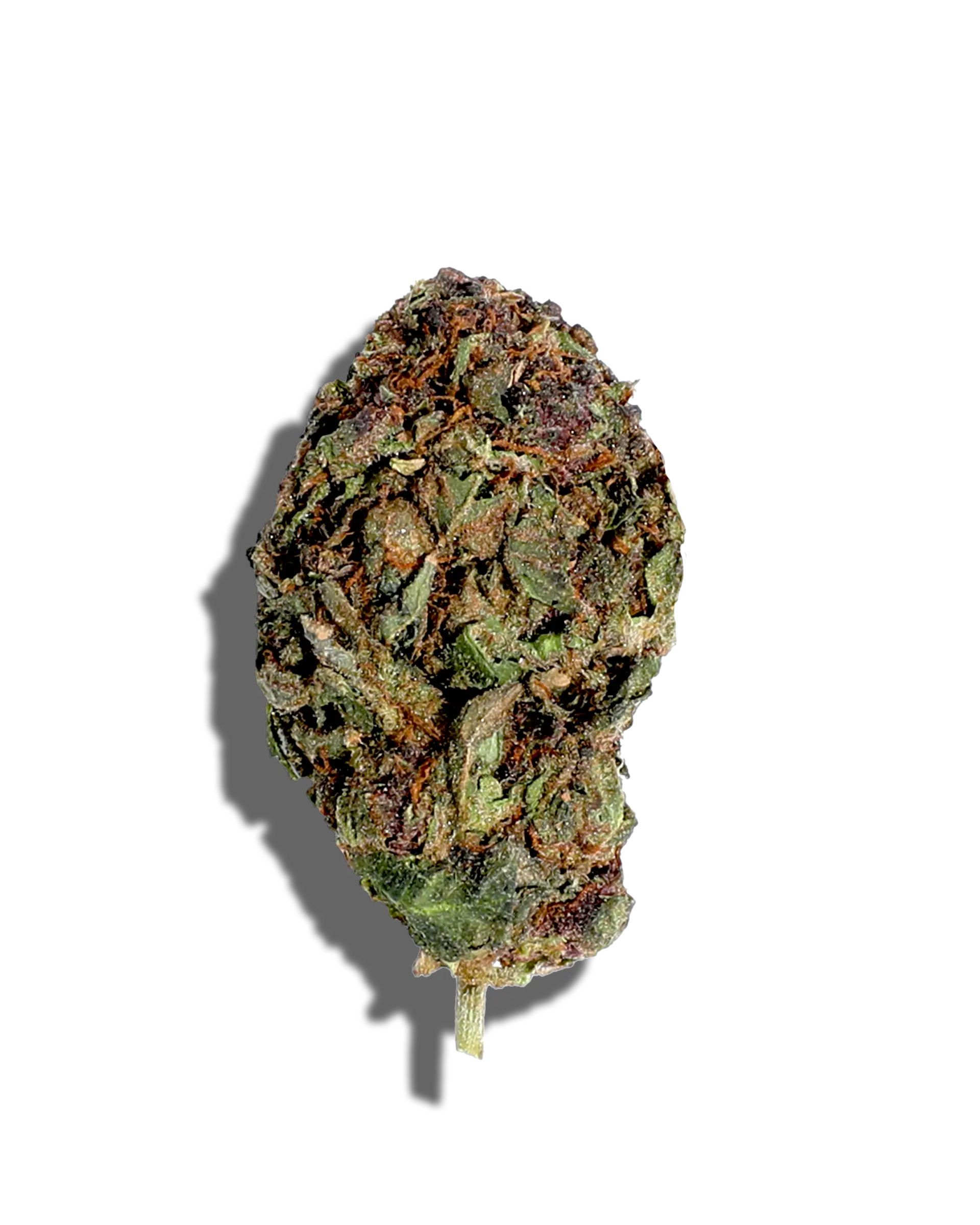 Sungrown Trop Cherry 1oz