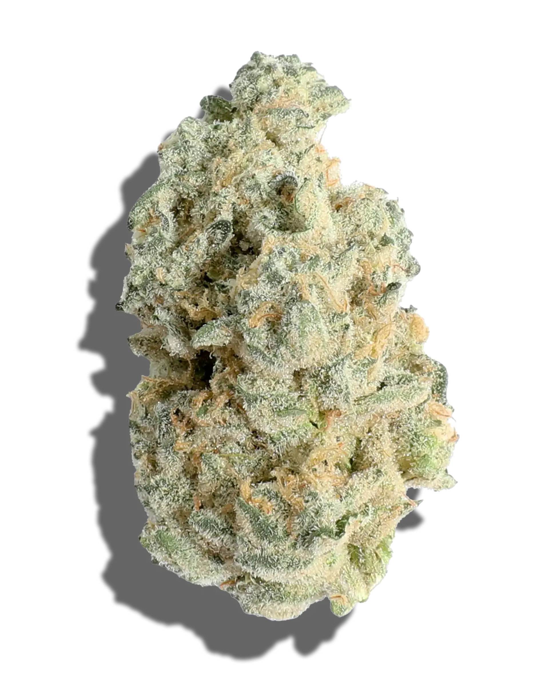 Banana Jella Scotti 3.5g