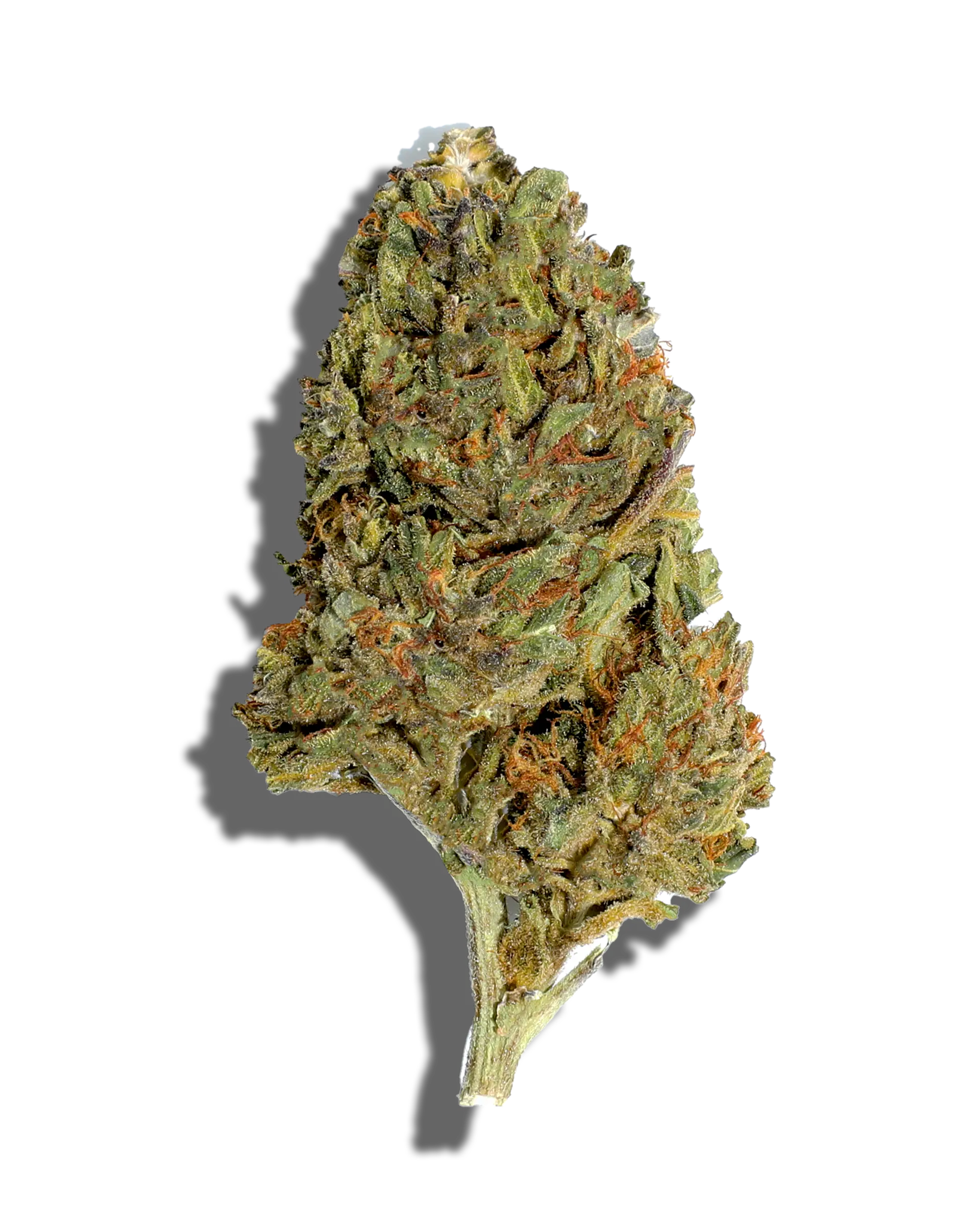 Sungrown Greasy 3.5g