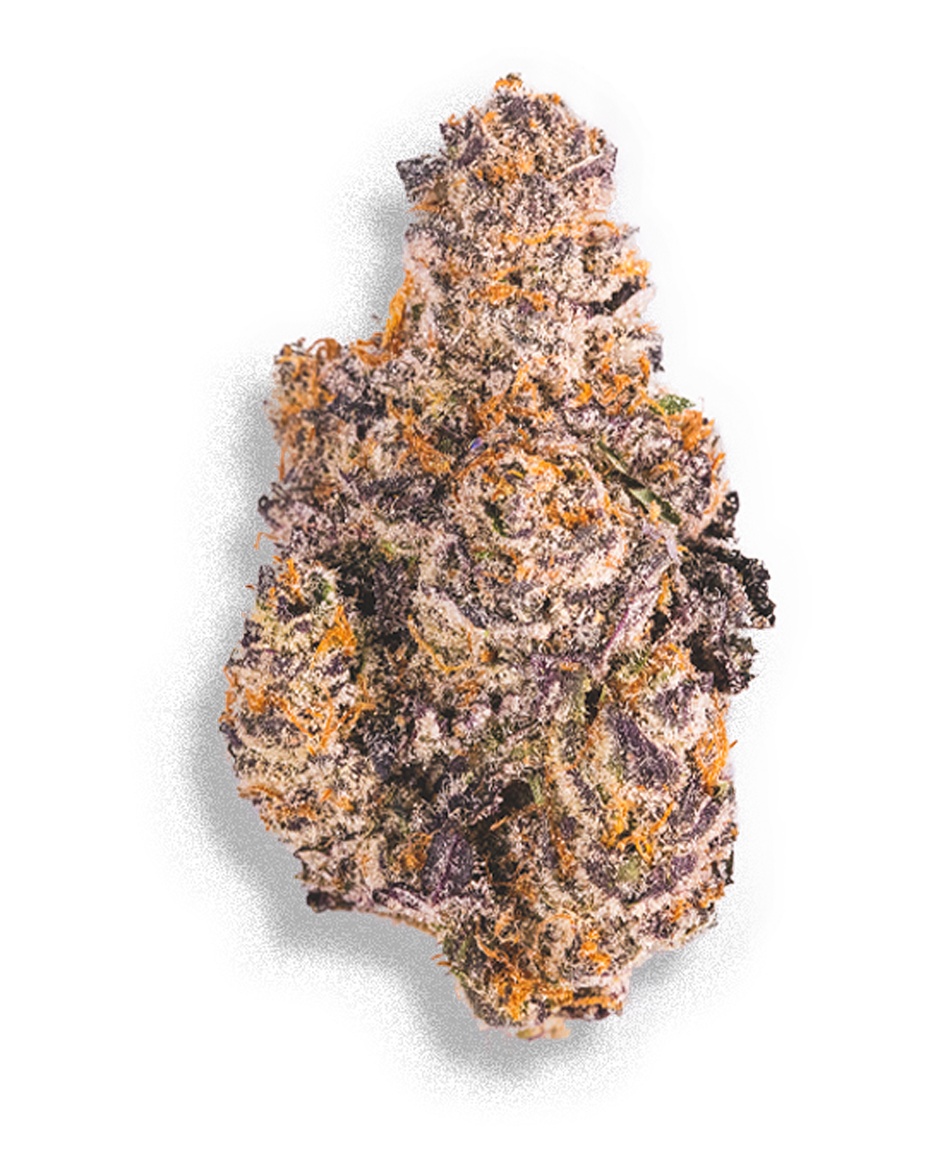 Ya Hemi Flower