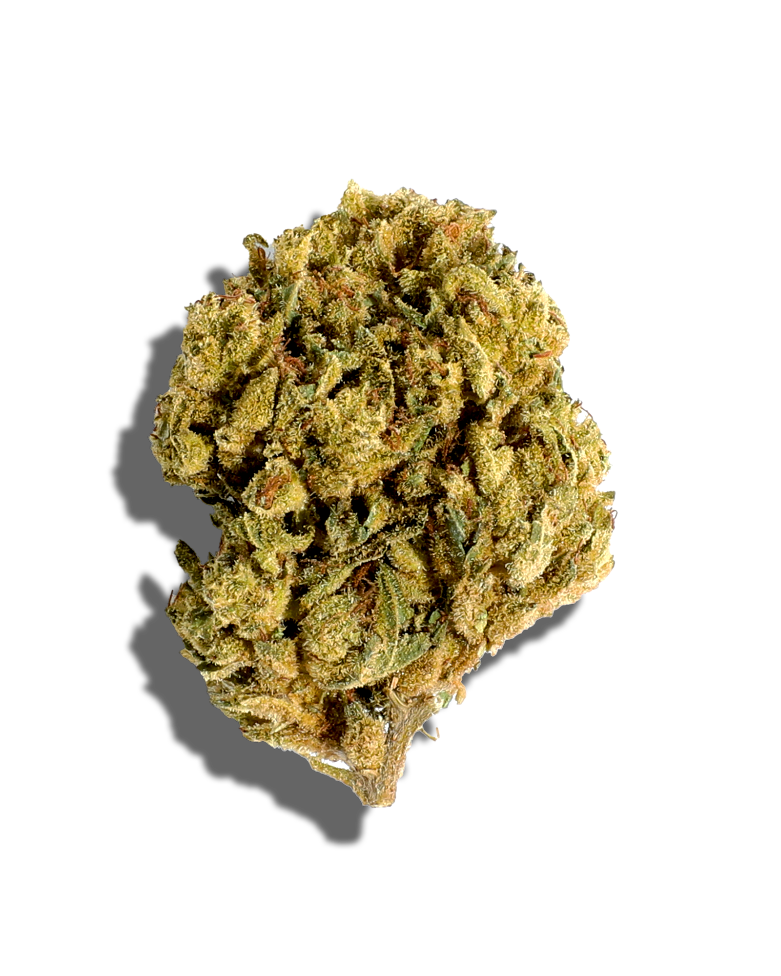 Sungrown GG3 3.5g, 1 of 2