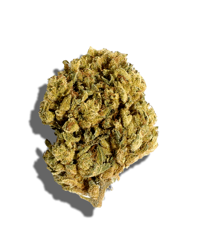 GG3 harvested flower, as labeled by the cited photo source
