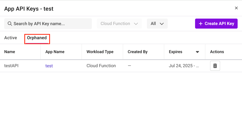 Shows the orphaned API keys in the app instance.