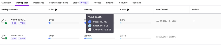 Workspace resource usage showing vCPU, memory, and Cache usage.