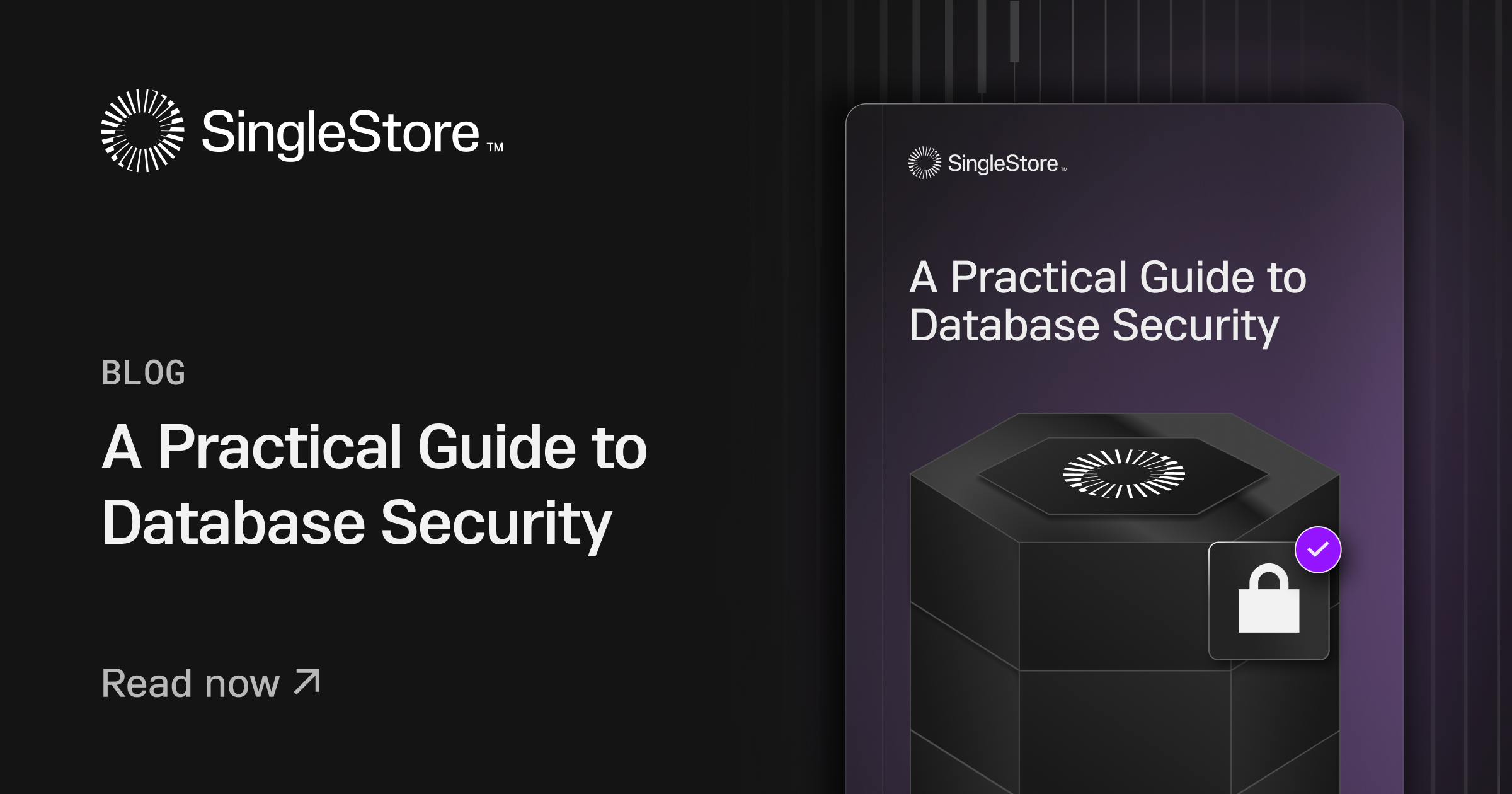A Practical Guide to Database Security Feature image