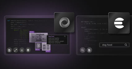 Elasticsearch vs. SingleStore: What’s Best for Your Data Needs?