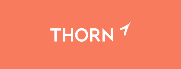 Ashton Kutcher Raises $1.4M to Help Thorn Defend Children