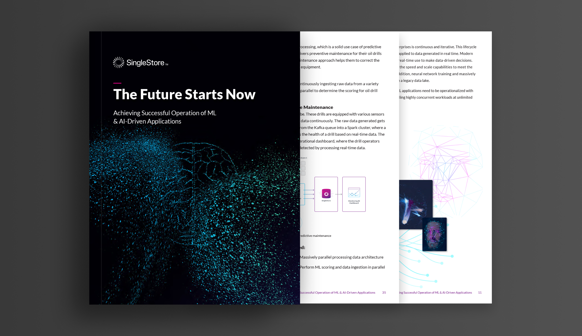 Achieving Successful Operation of AI & ML Driven Applications