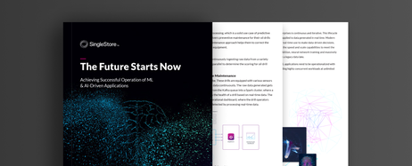 Achieving Successful Operation of AI & ML Driven Applications
